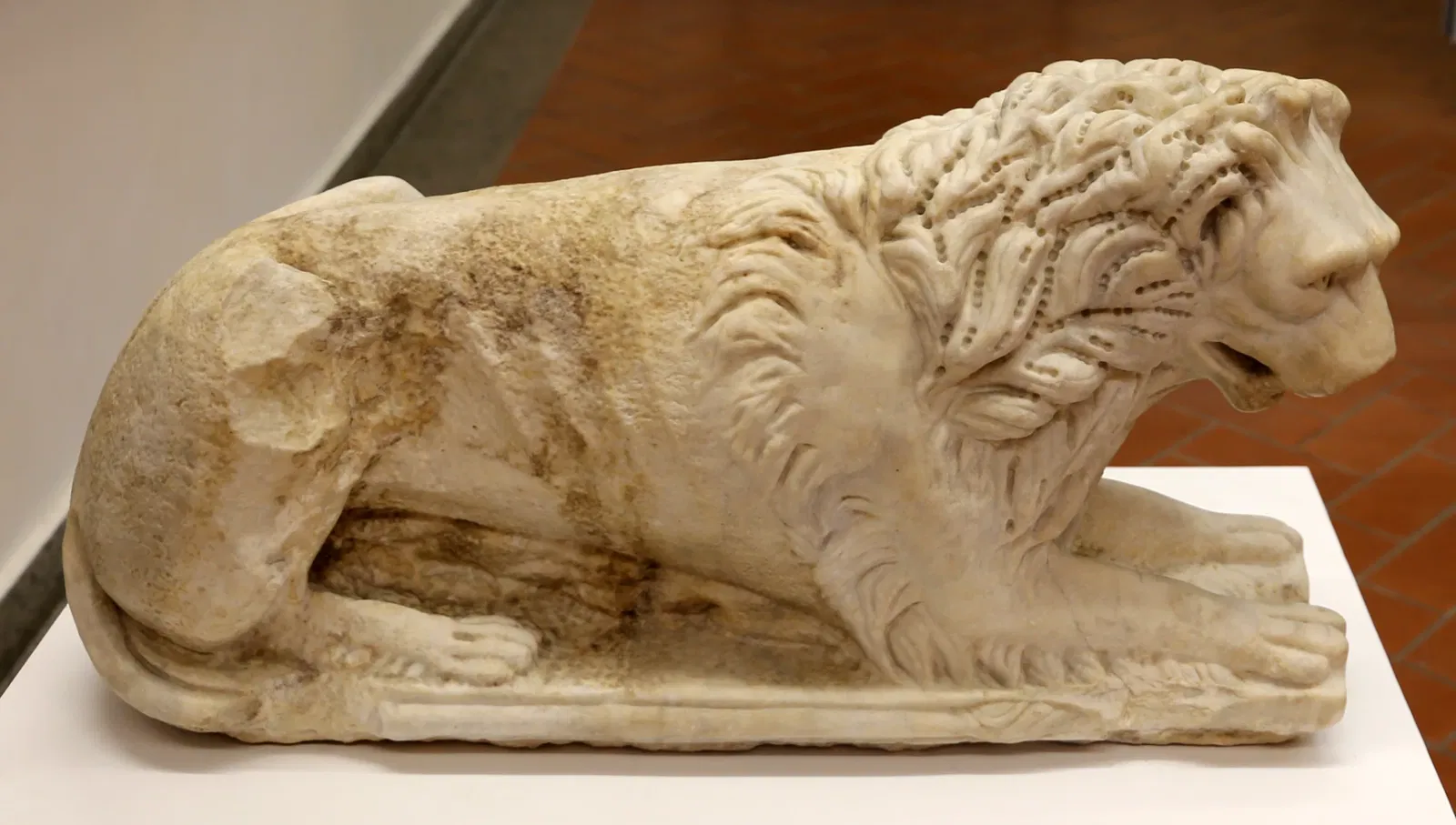 Museo Civico "Luigi Rossi Danielli"