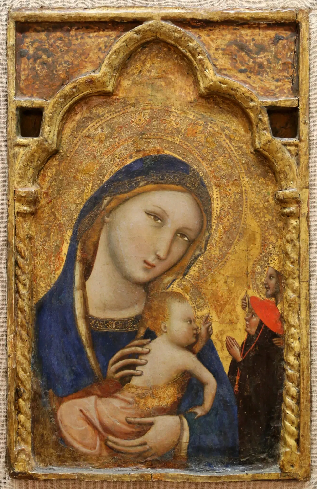 Museo Civico "Luigi Rossi Danielli"