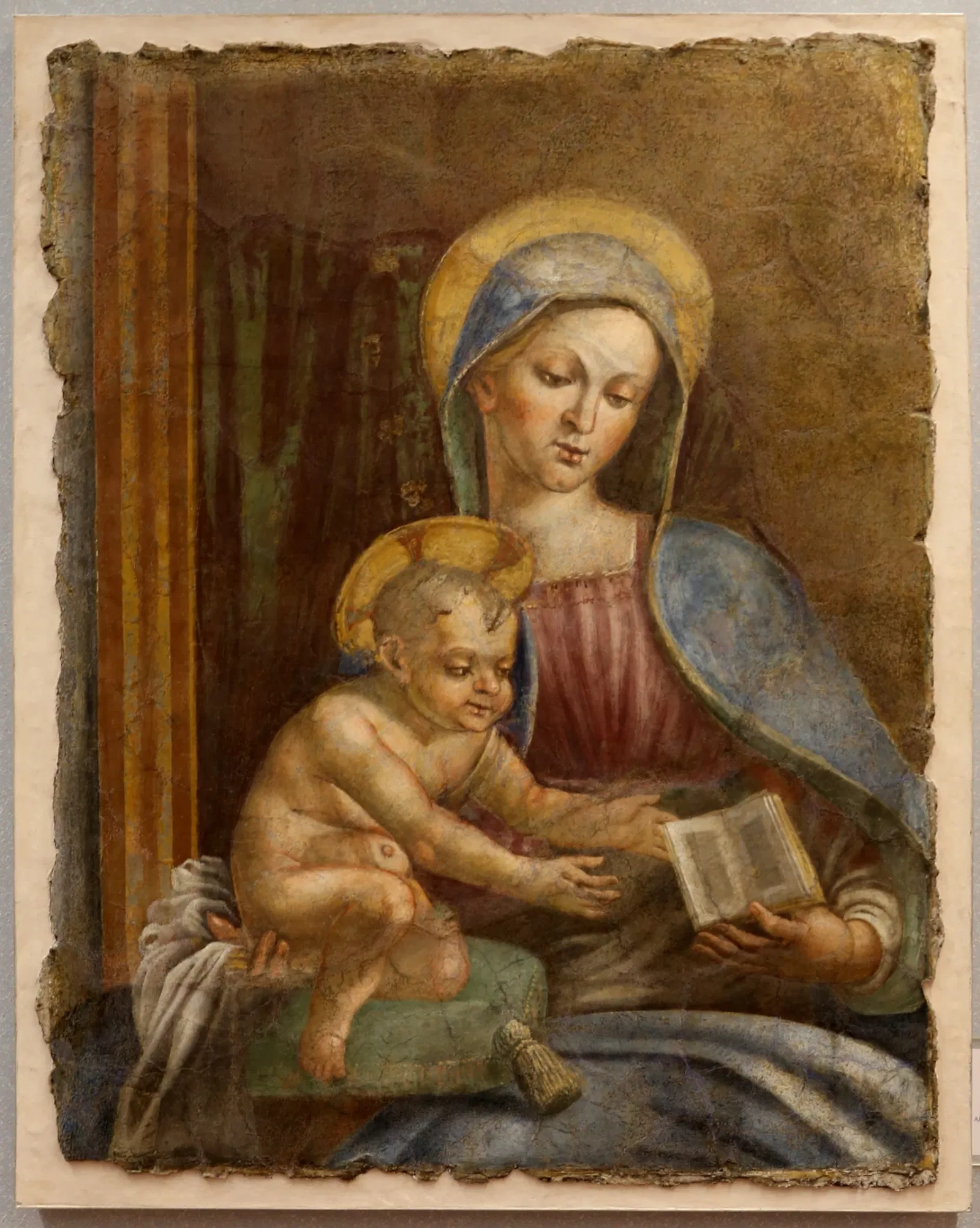 Museo Civico "Luigi Rossi Danielli"