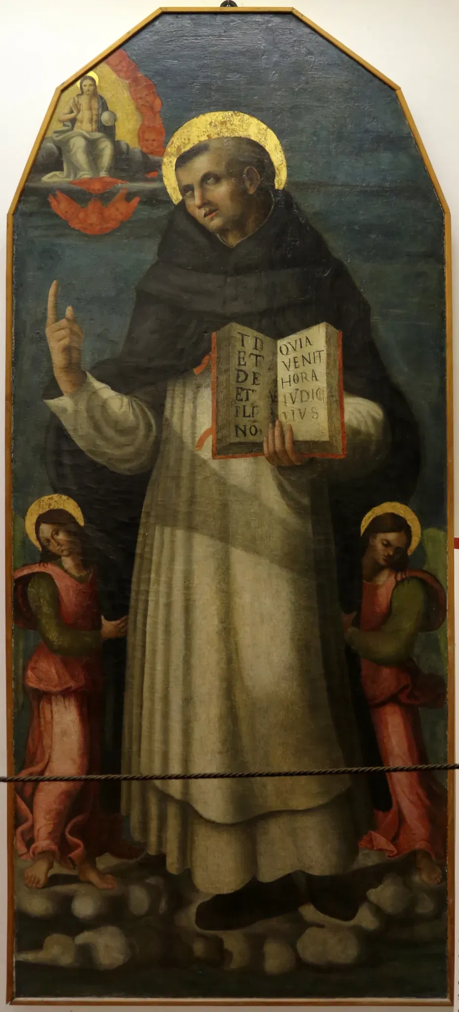 Museo Civico "Luigi Rossi Danielli"