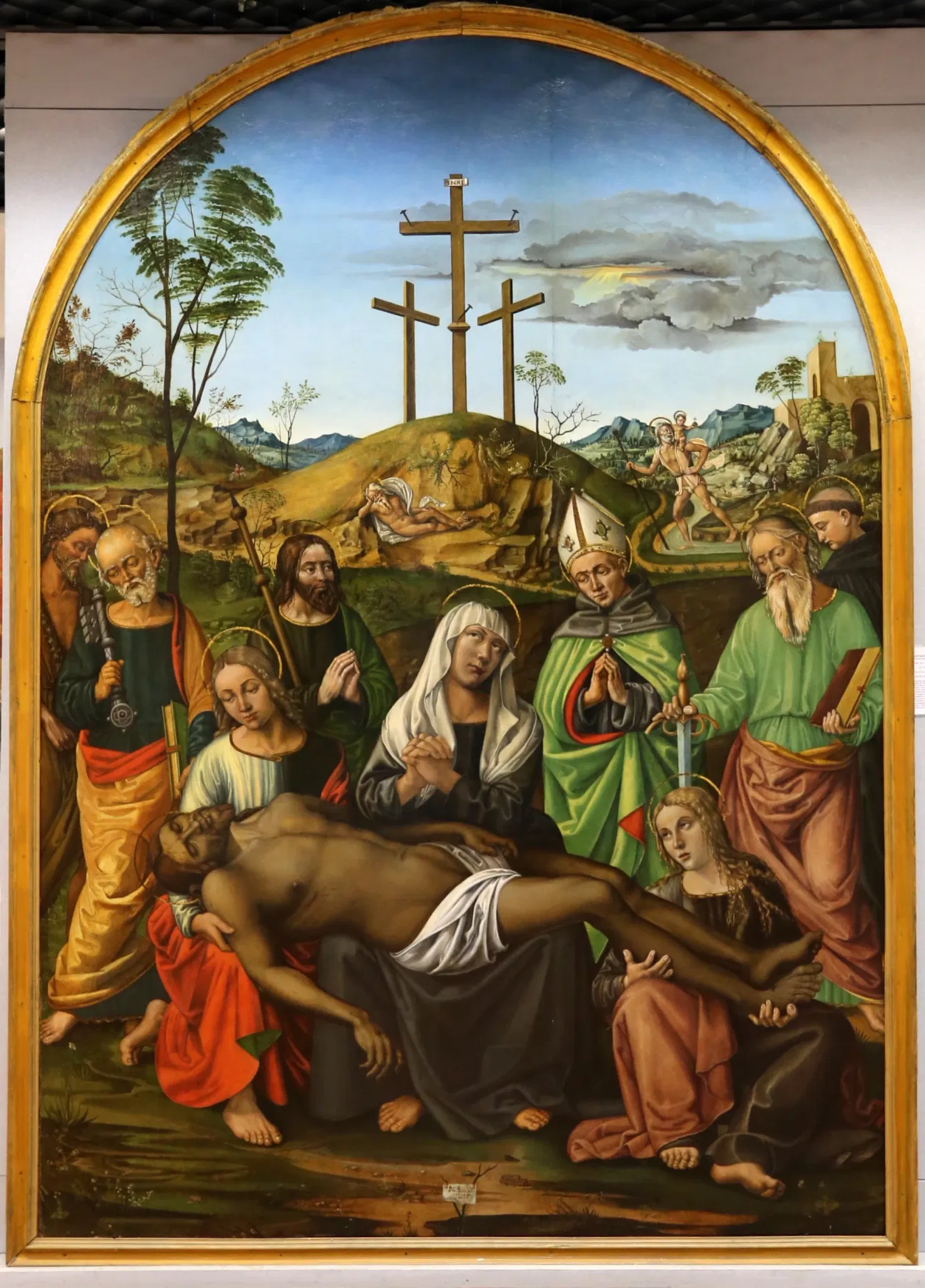 Museo Civico "Luigi Rossi Danielli"