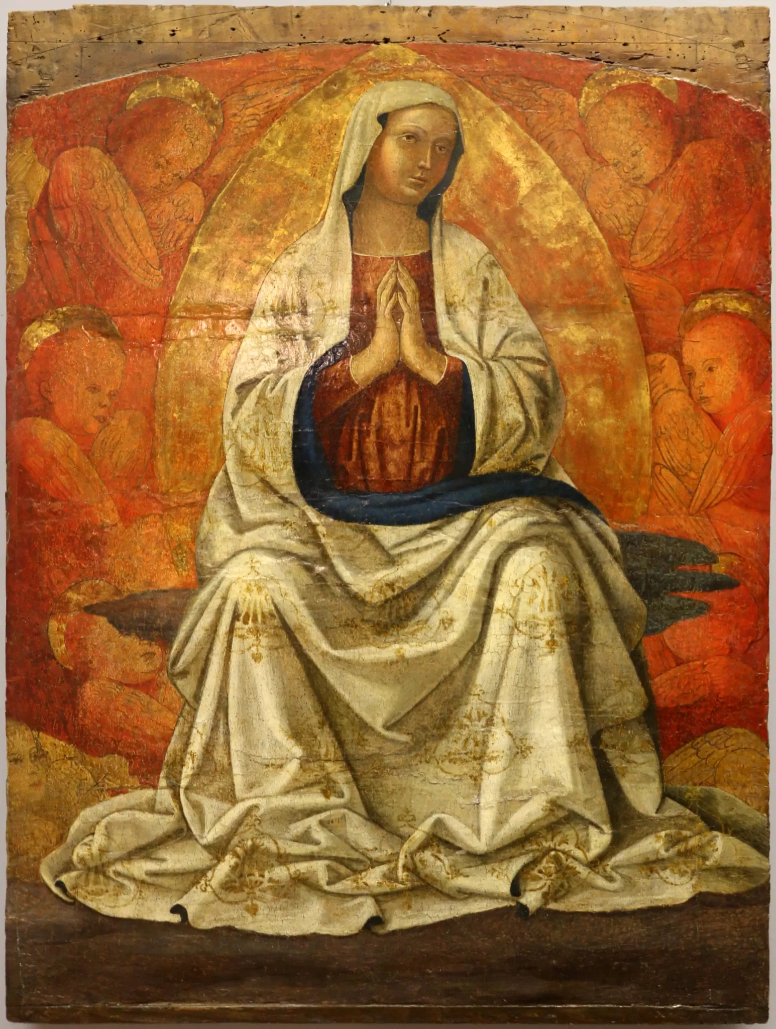 Museo Civico "Luigi Rossi Danielli"