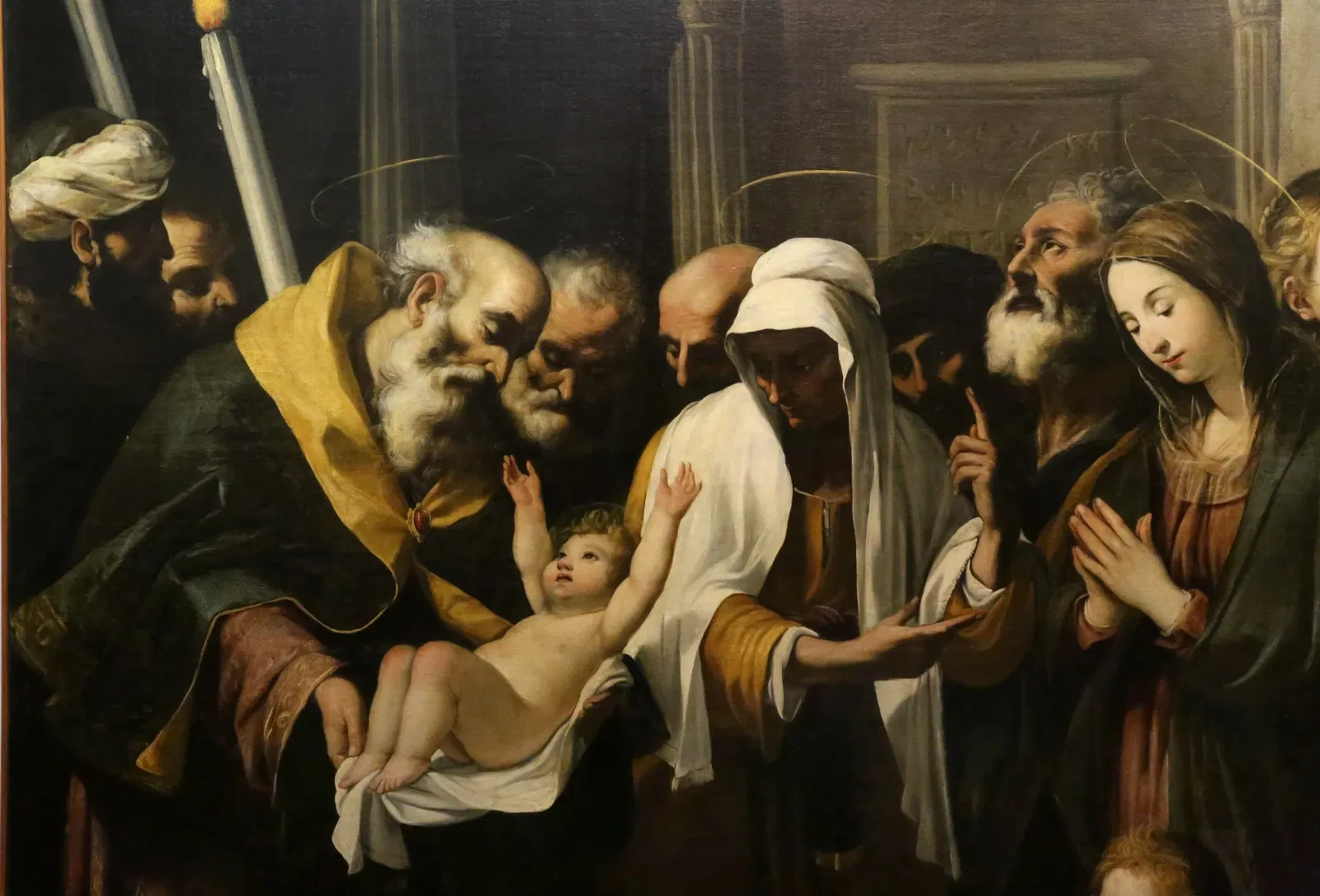 Museo Civico "Luigi Rossi Danielli"