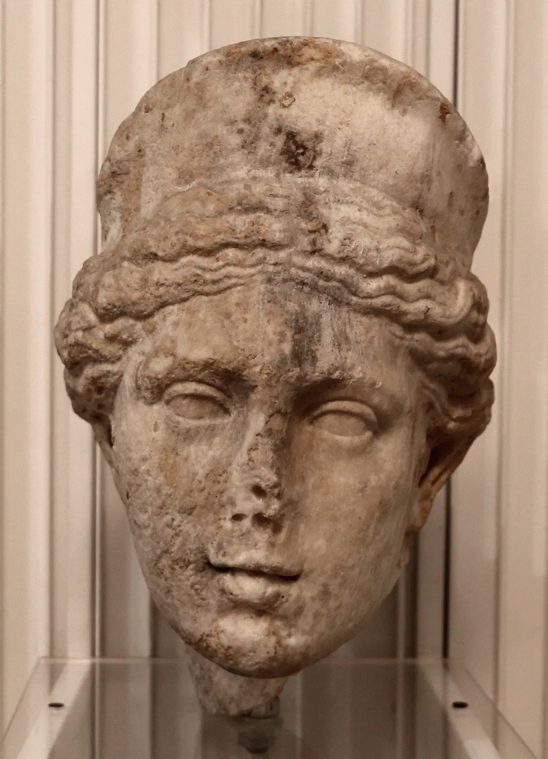 Museo Civico "Luigi Rossi Danielli"