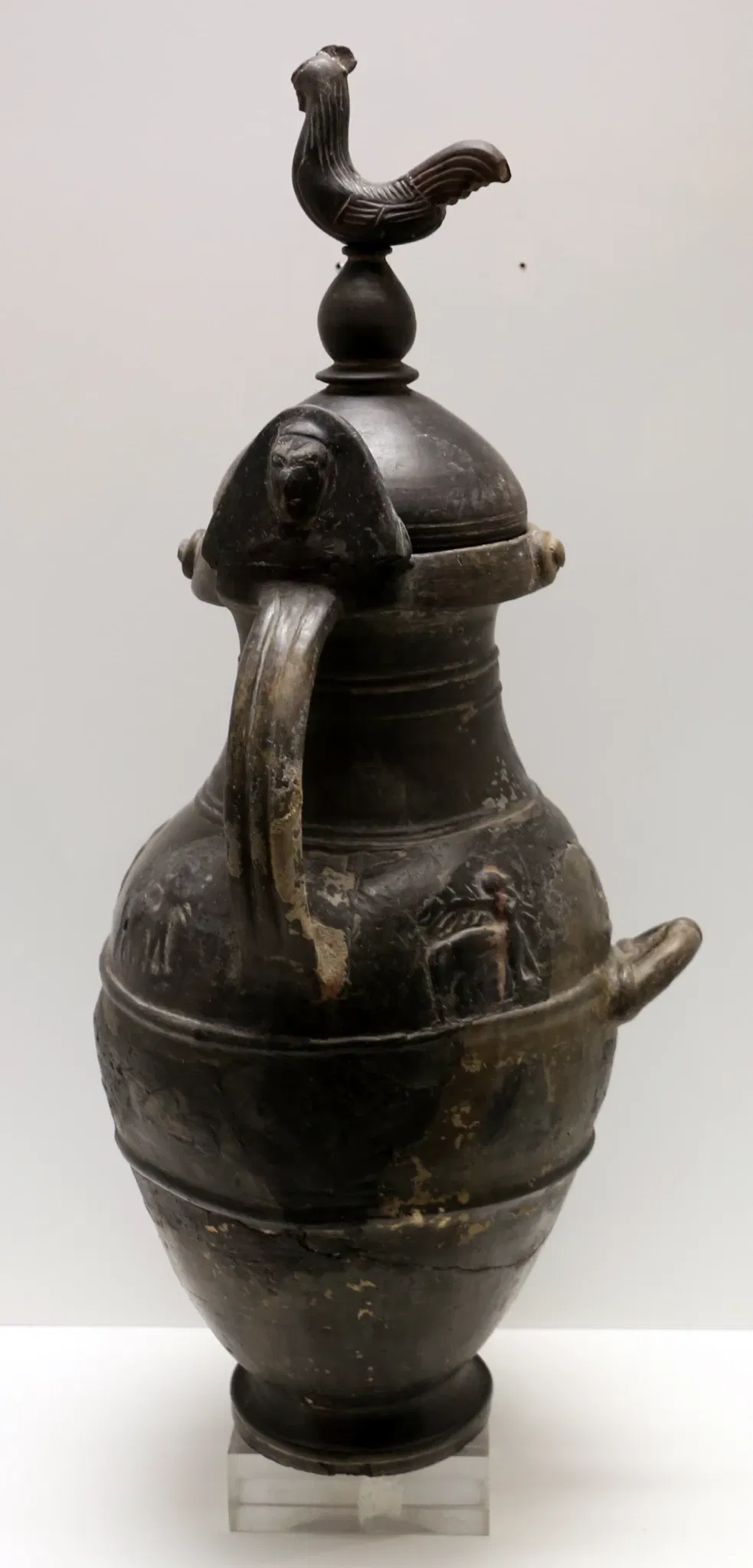 Museo Civico "Luigi Rossi Danielli"