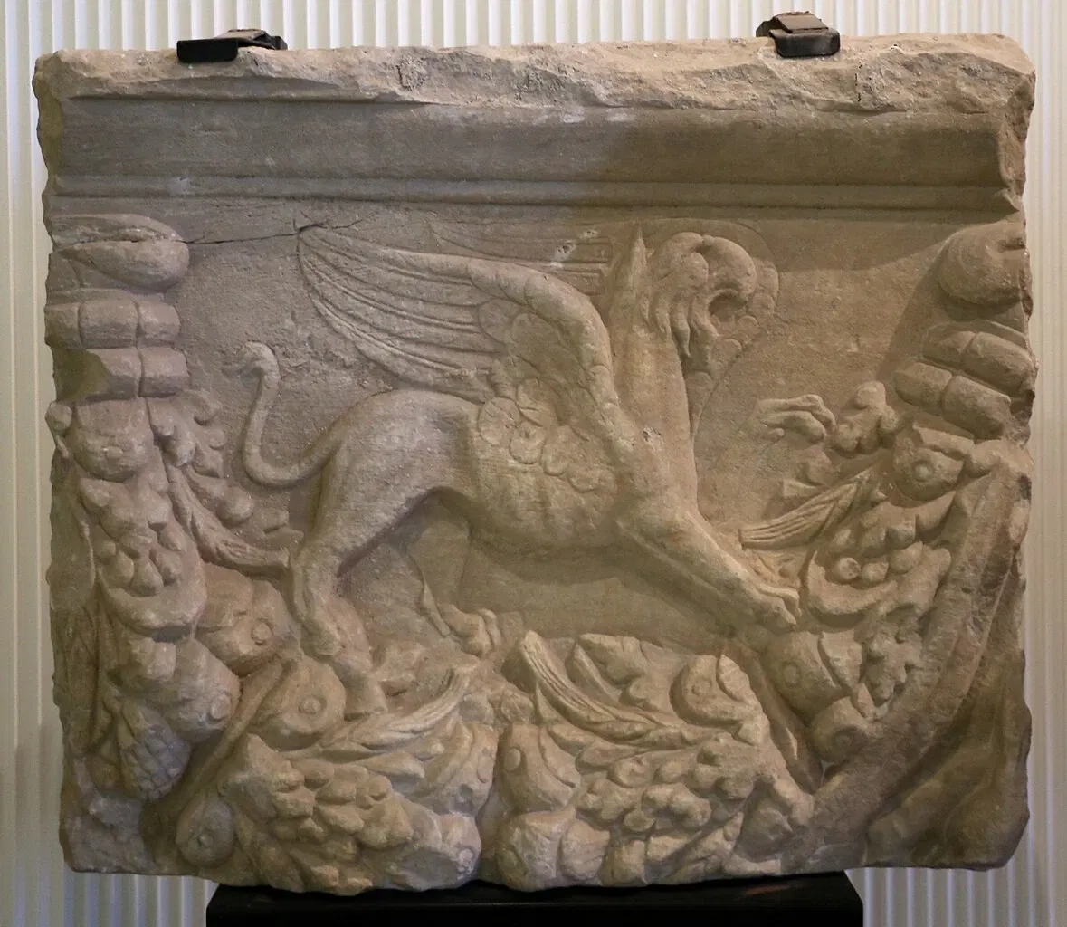 Museo Civico "Luigi Rossi Danielli"