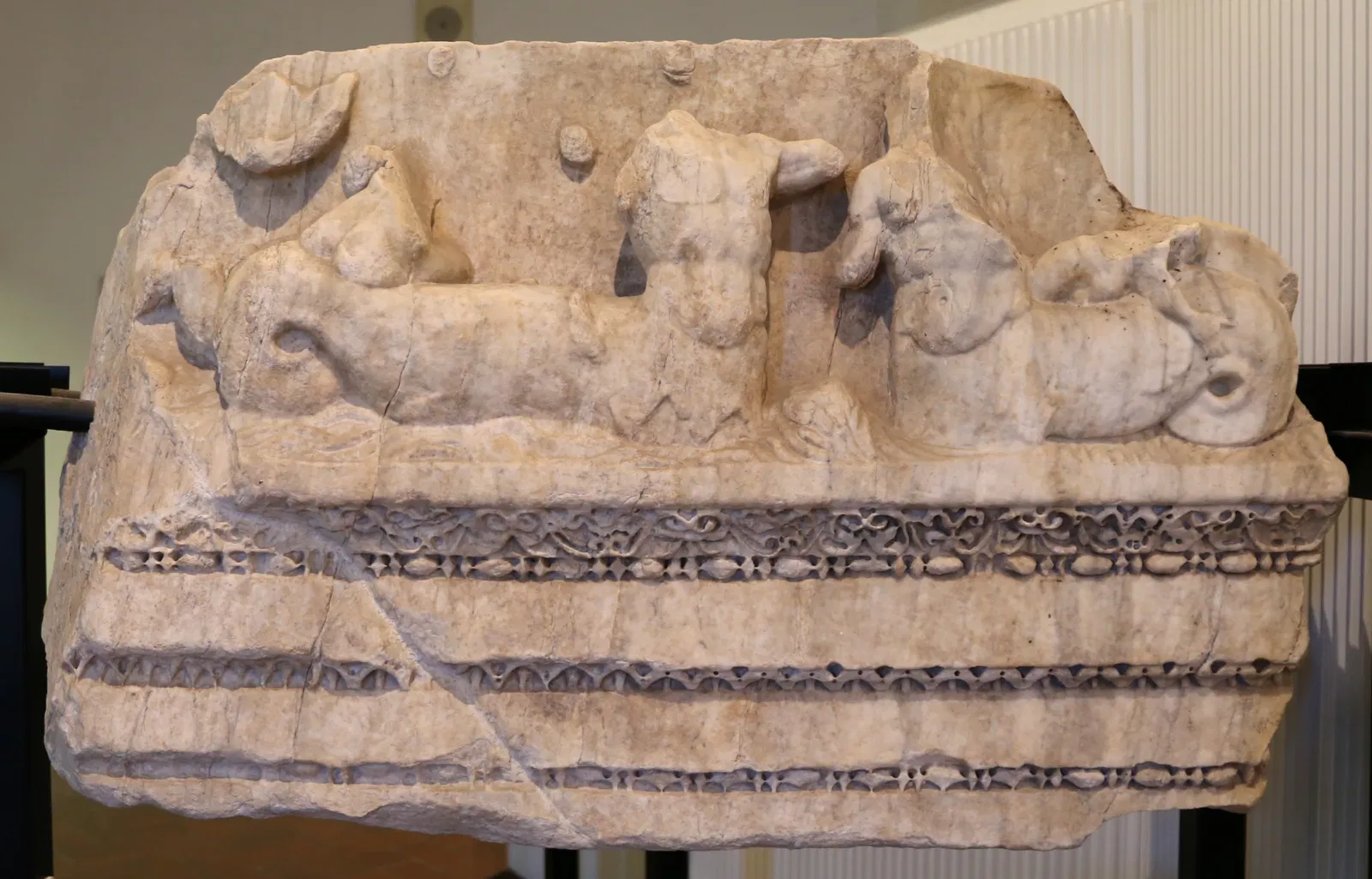 Museo Civico "Luigi Rossi Danielli"