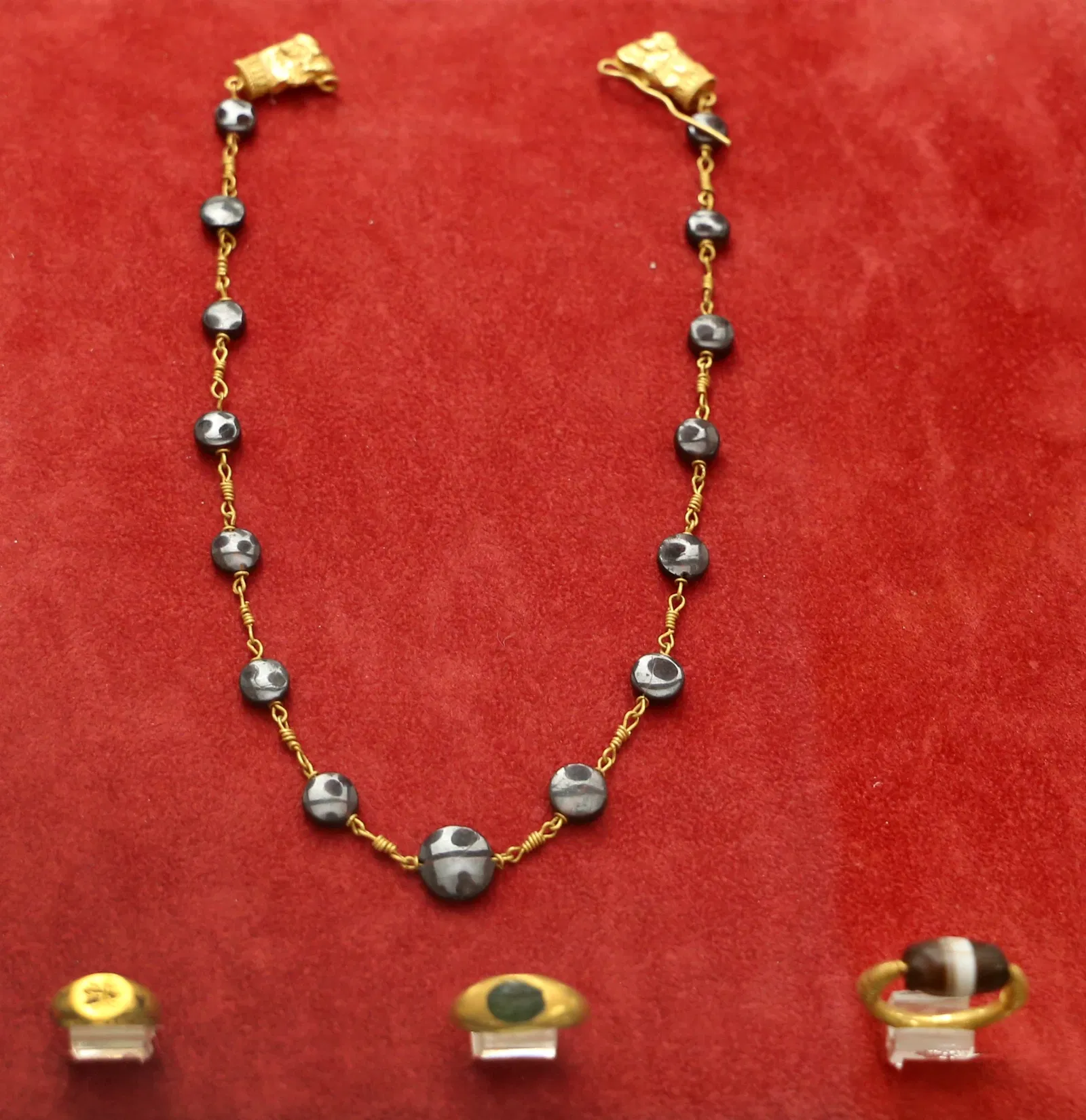 Museo Civico "Luigi Rossi Danielli"