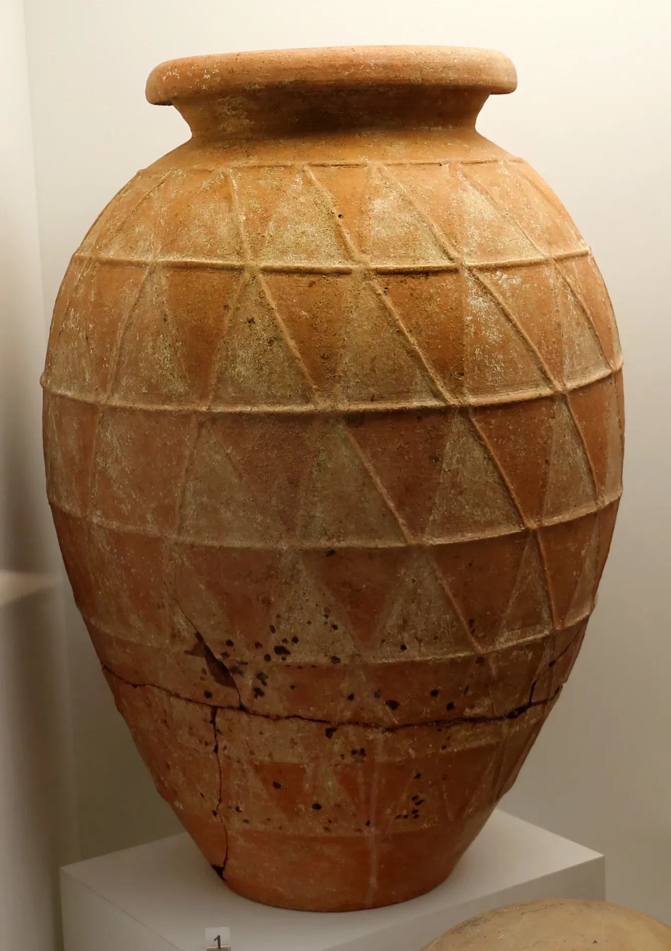 Museo Nazionale Etrusco Rocca Albornoz