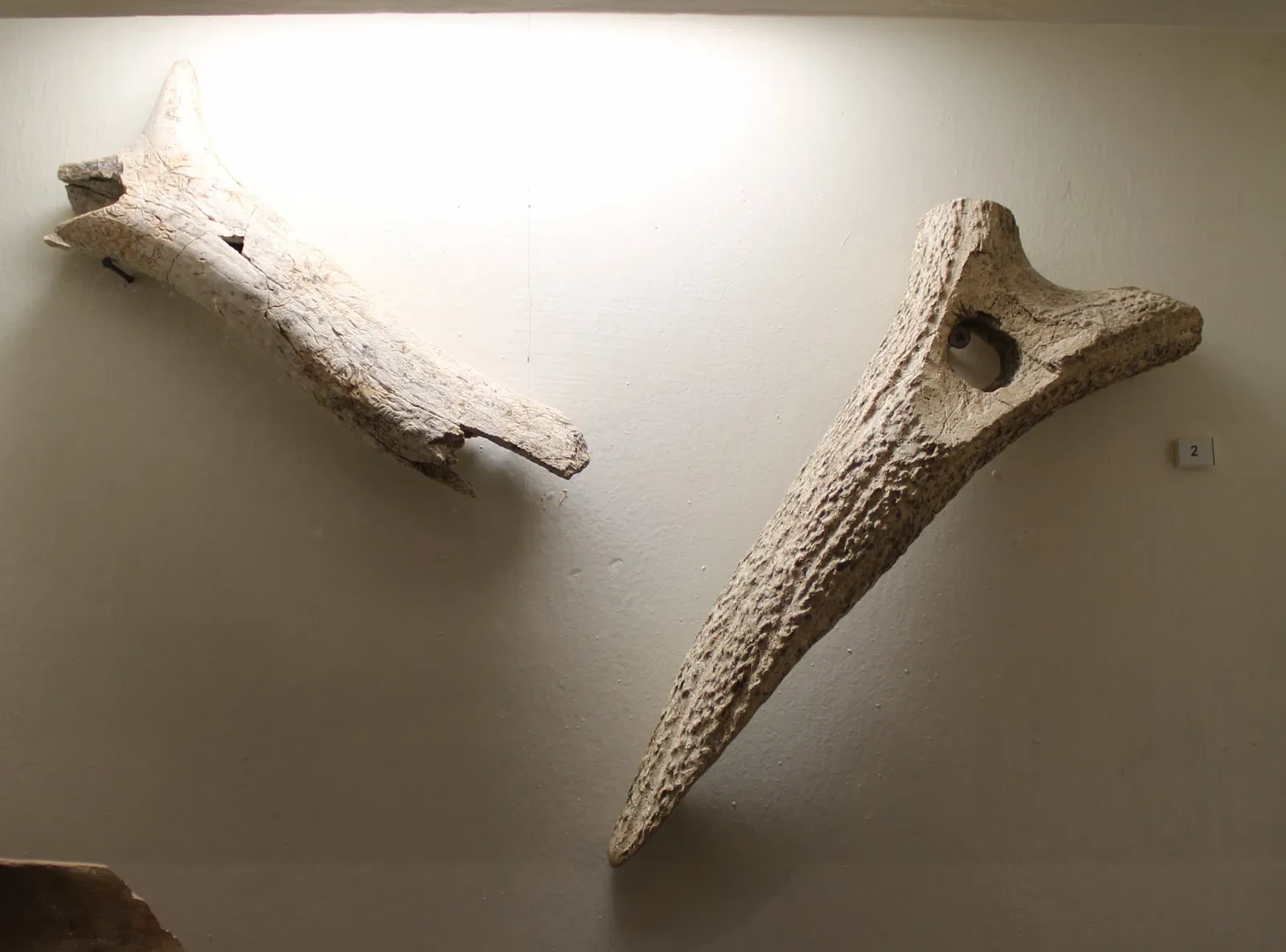 St Ledgar's Museum of Art and History