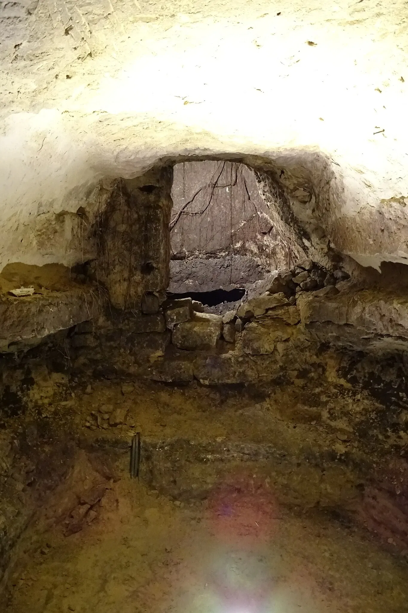 Musée de la Vénerie