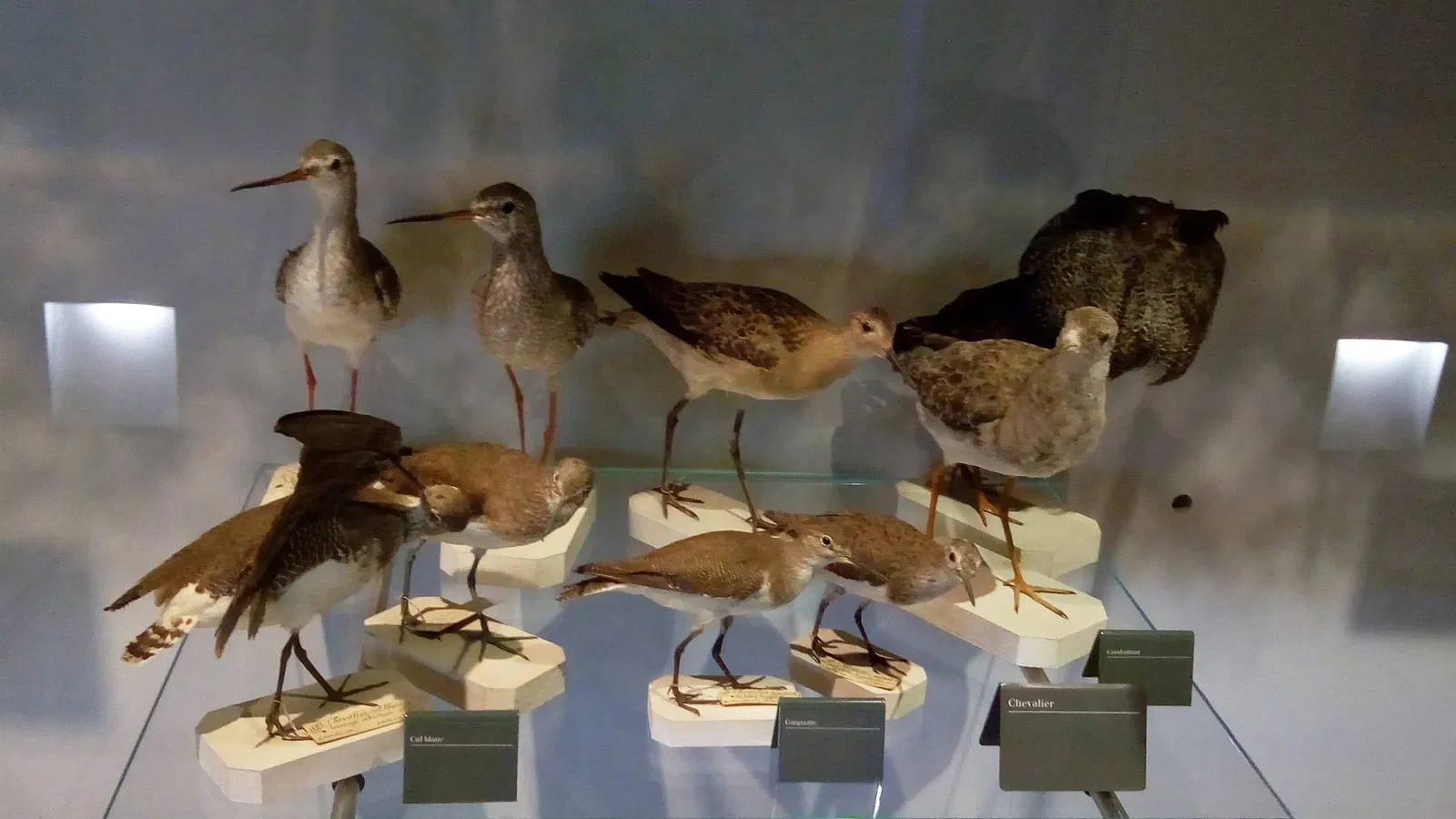 Bernard d'Agesci Museum