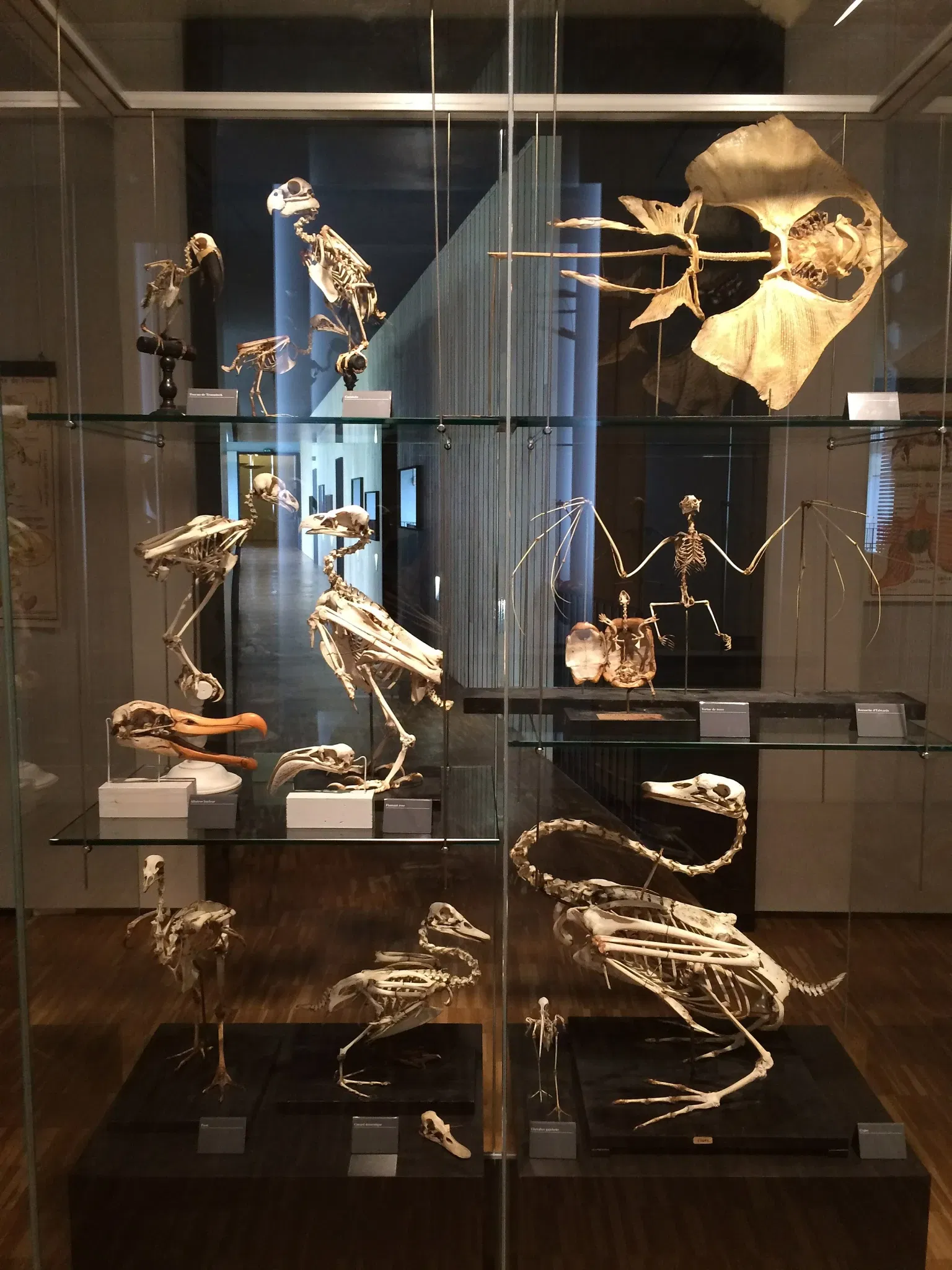 Bernard d'Agesci Museum