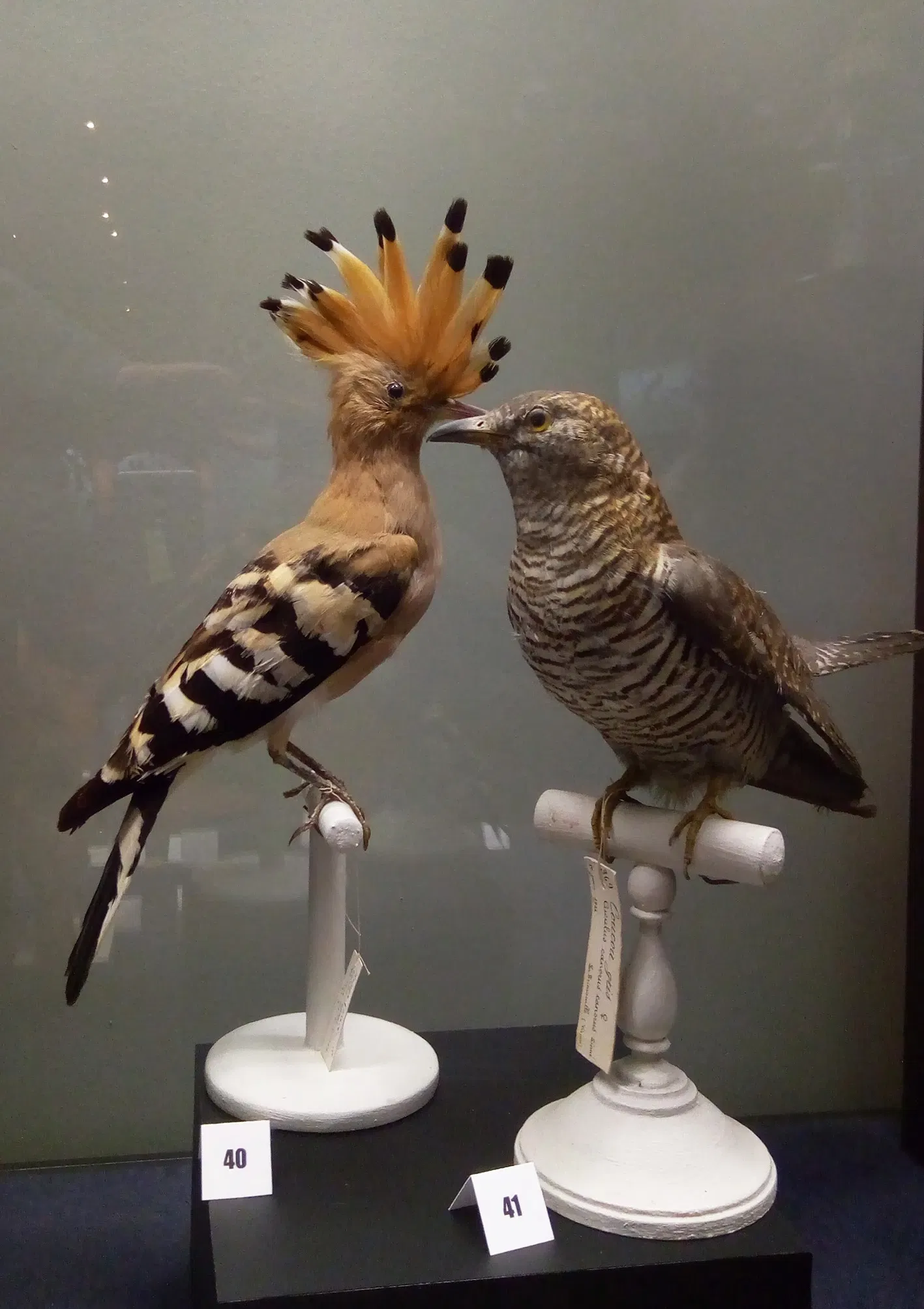 Bernard d'Agesci Museum