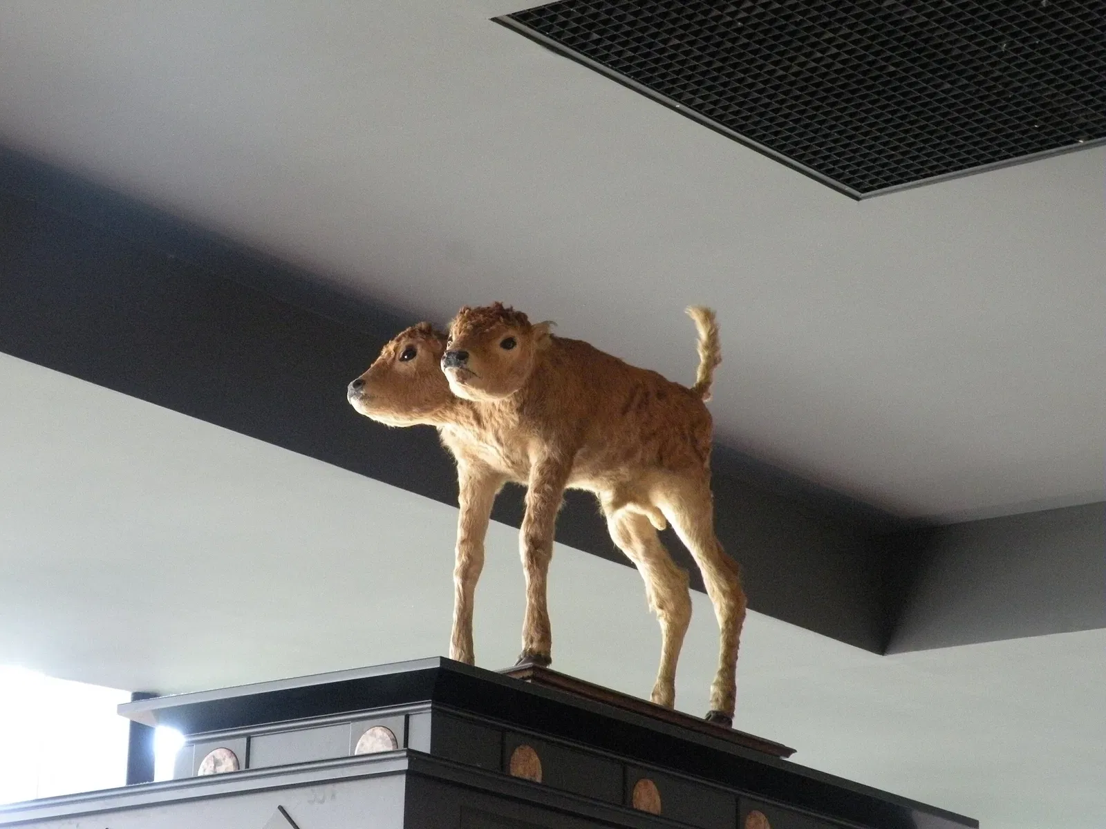 Musée Bernard d'Agesci