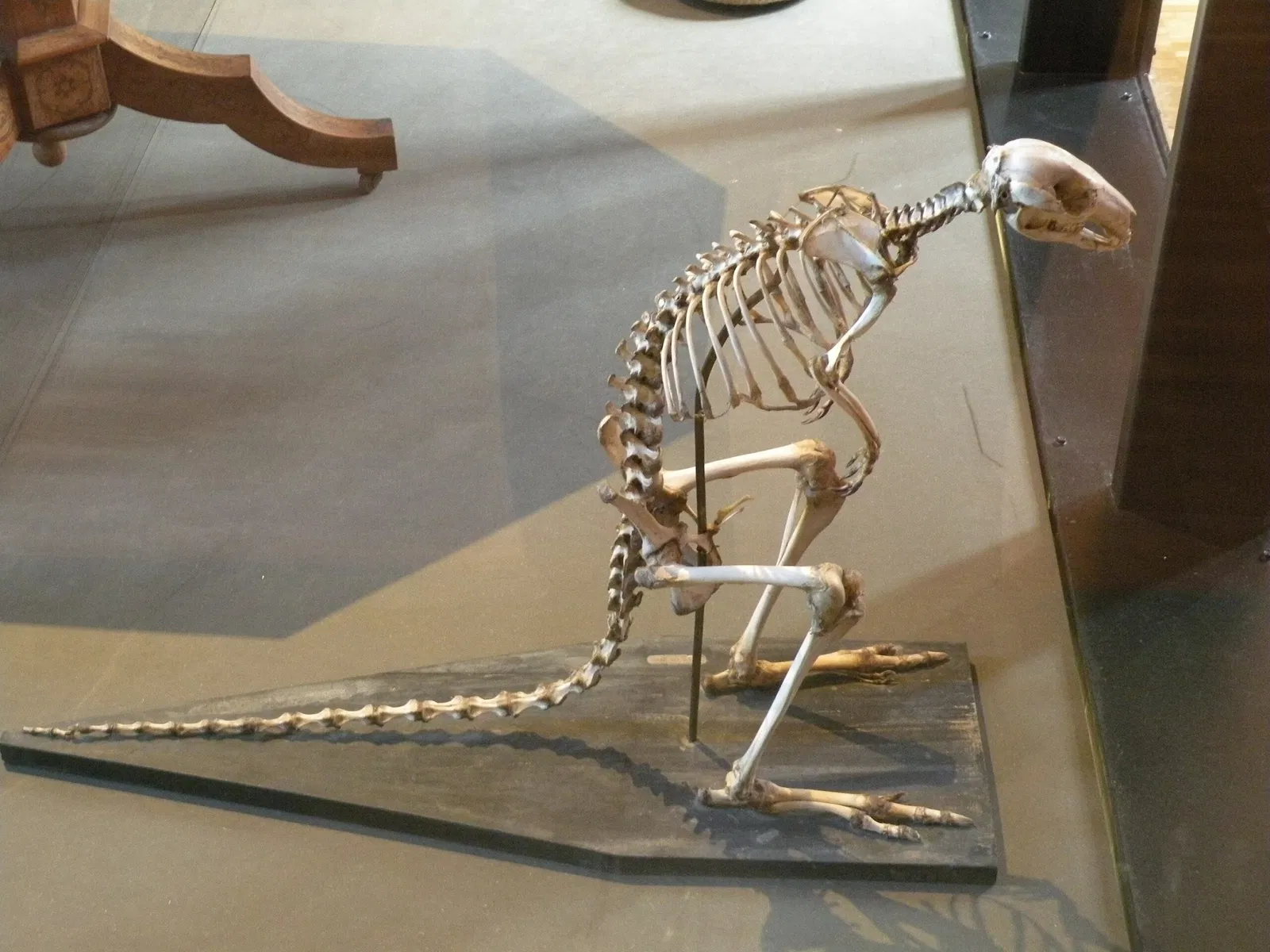 Musée Bernard d'Agesci