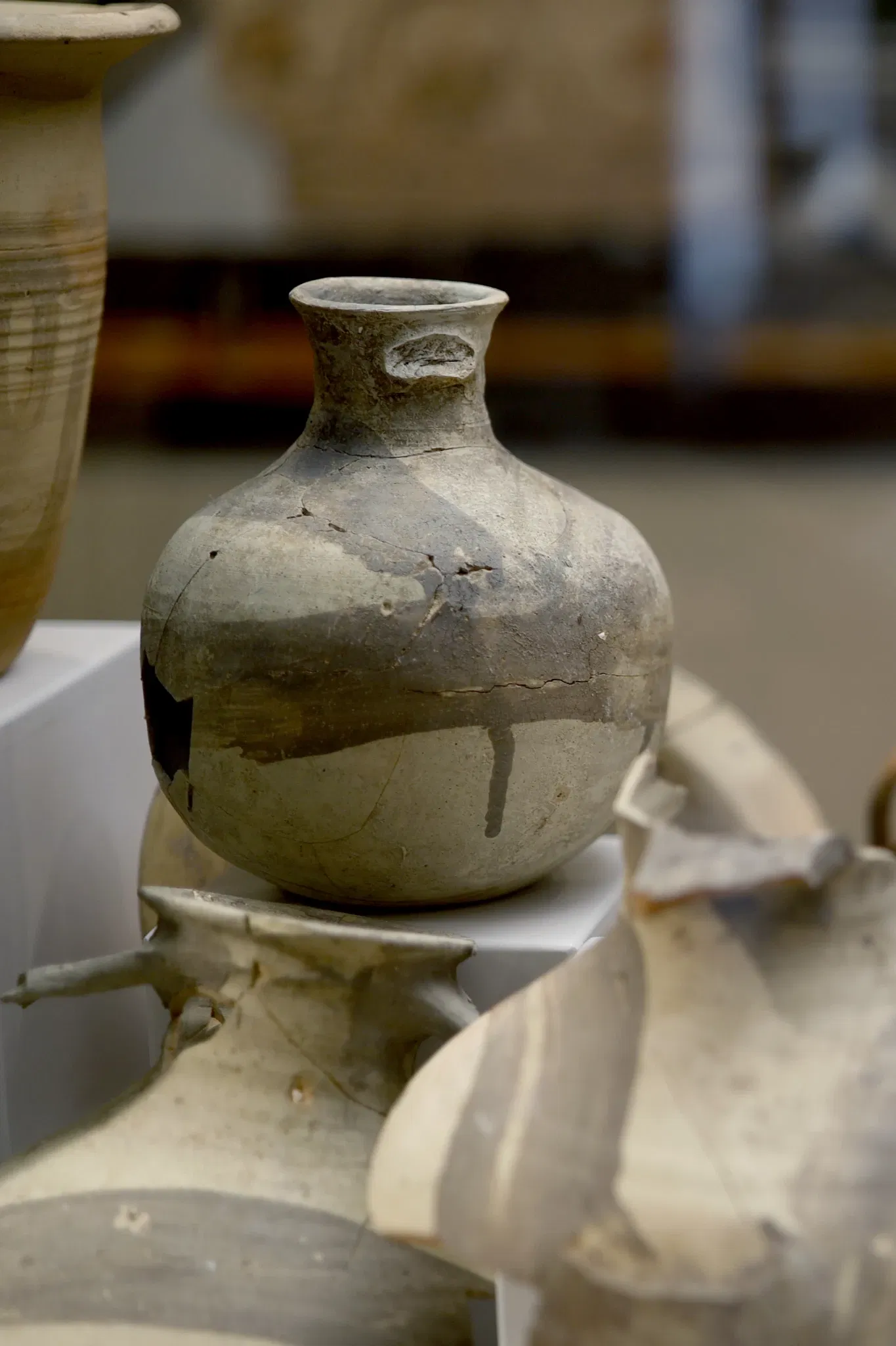 Museo Nazionale e Parco Archeologico di Egnazia