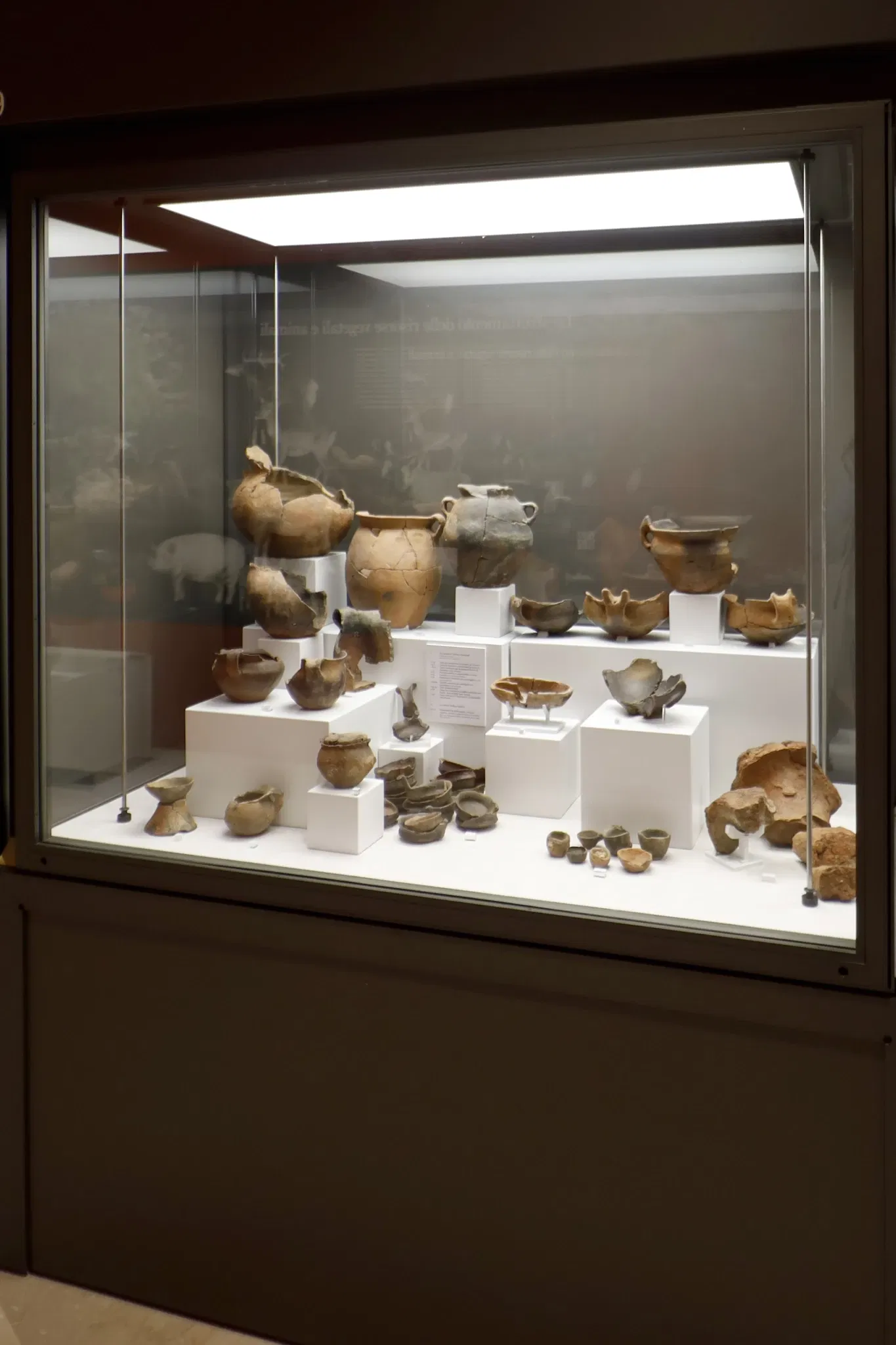 Museo Nazionale e Parco Archeologico di Egnazia