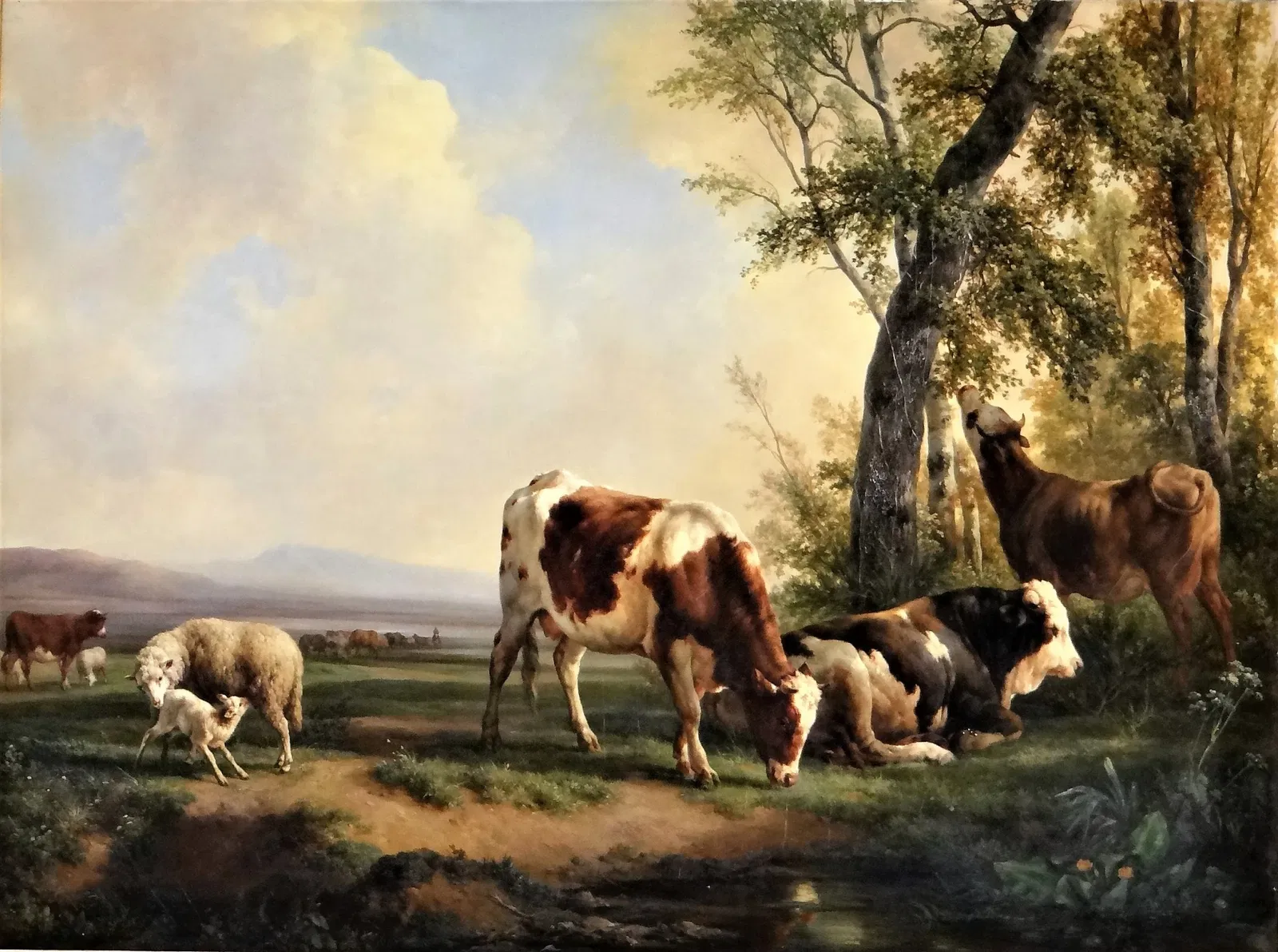 Museum of Art and Archeology of Périgord