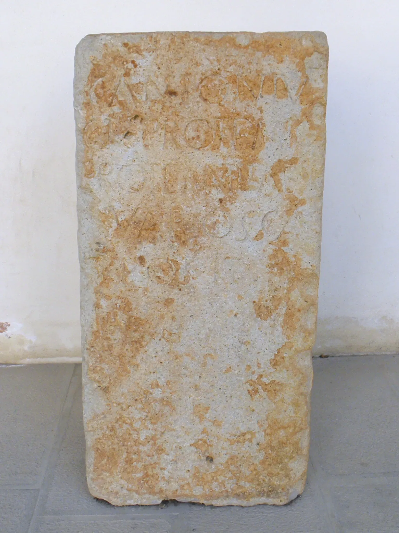 Museo dei Grandi Fiumi