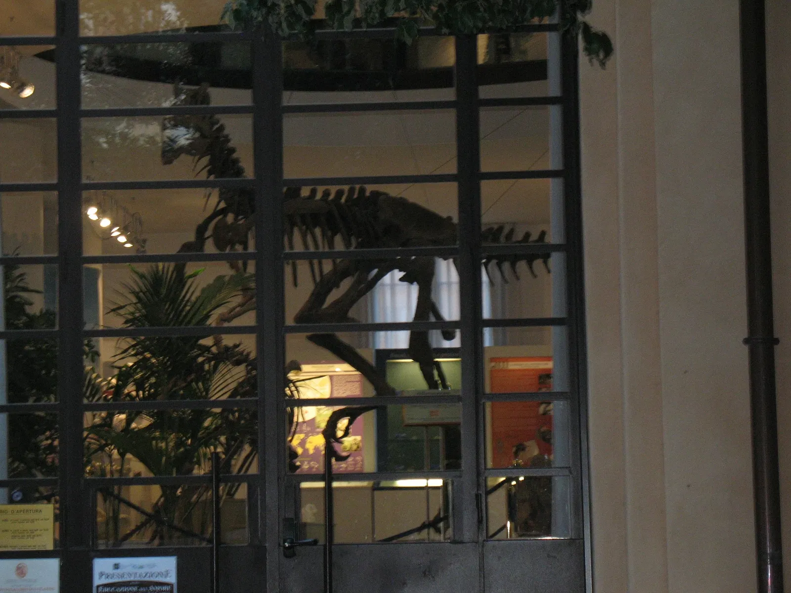 Museo Universitario di Chieti