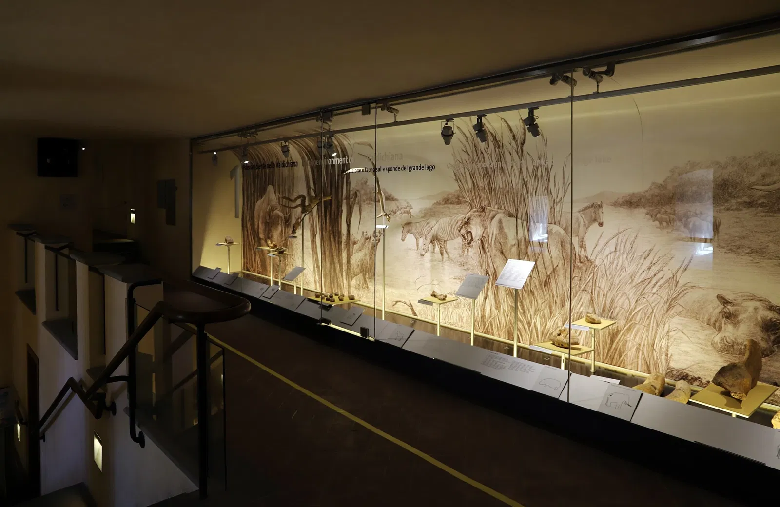 MAEC -Museo dell’Accademia Etrusca e della Città di Cortona