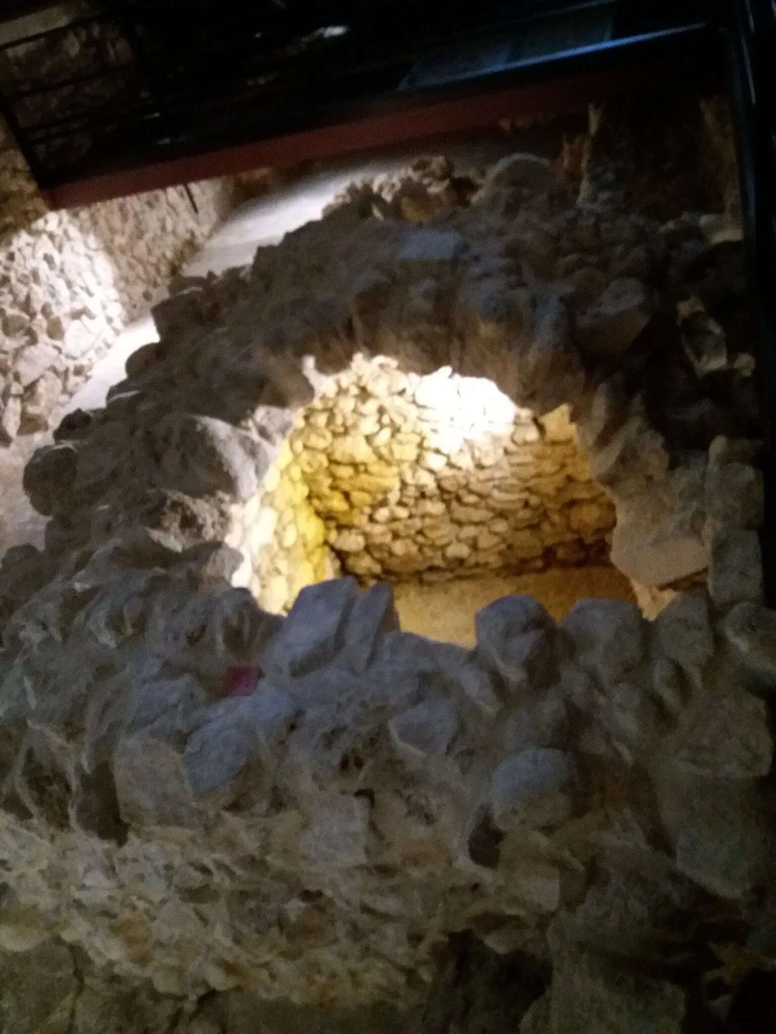 Museo Civico Santissima Annunziata