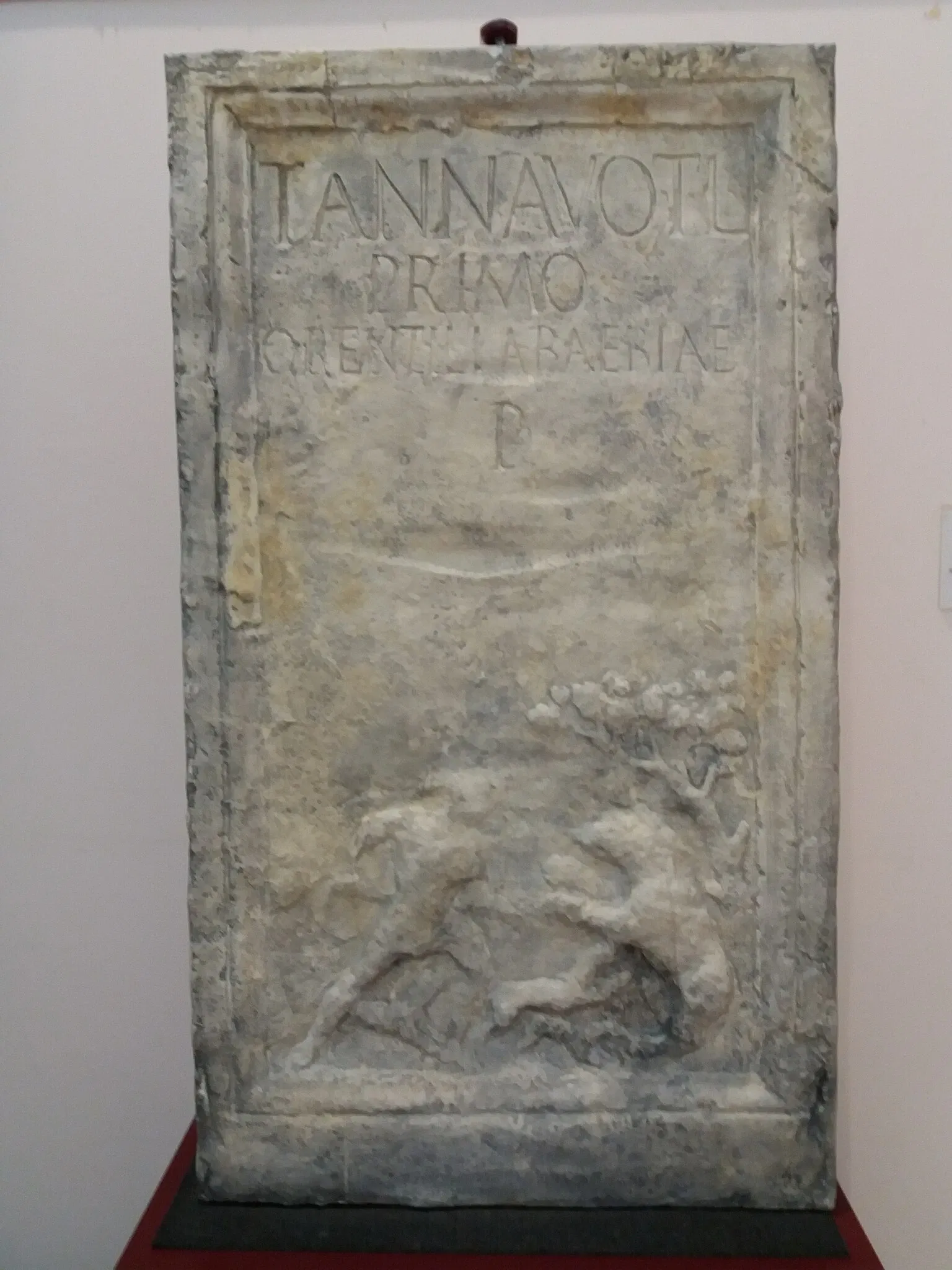 Museo Civico Santissima Annunziata