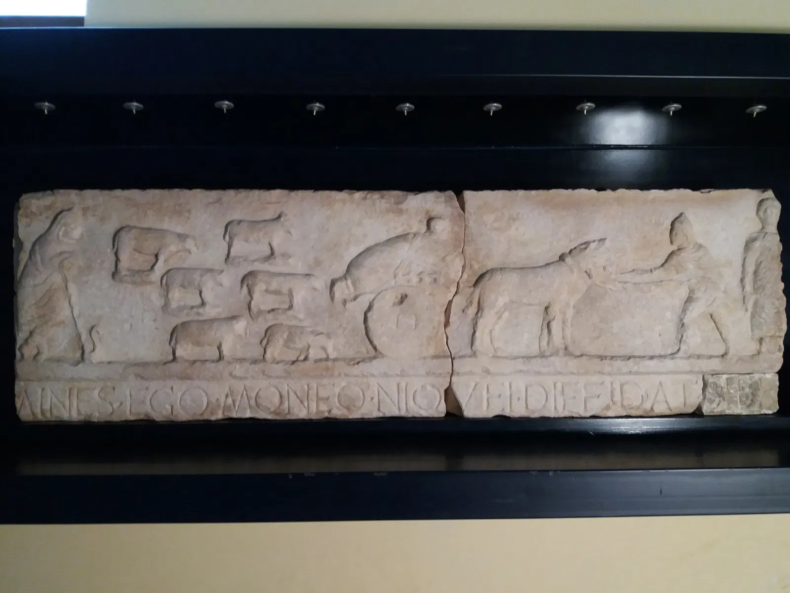 Museo Civico Santissima Annunziata