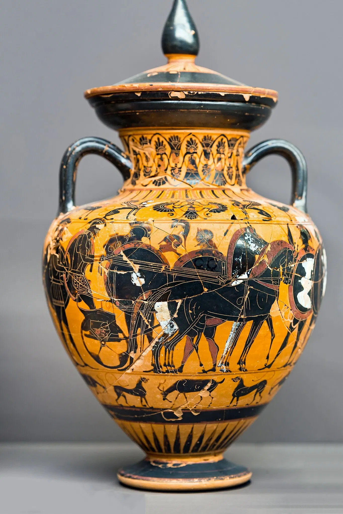 Museo Archeologico Nazionale della Basilicata Dinu Adamesteanu