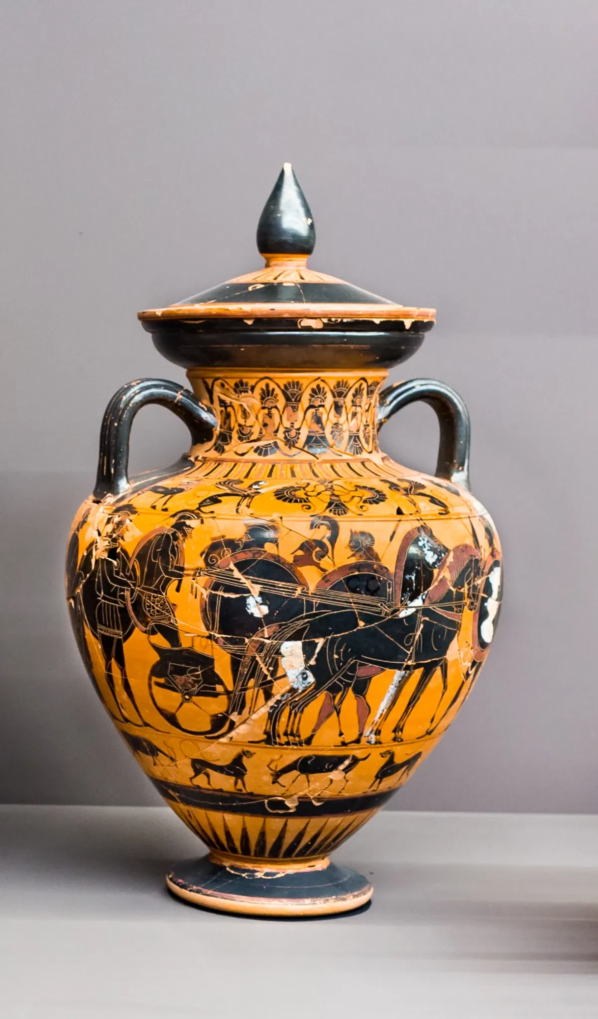 Museo Archeologico Nazionale della Basilicata Dinu Adamesteanu