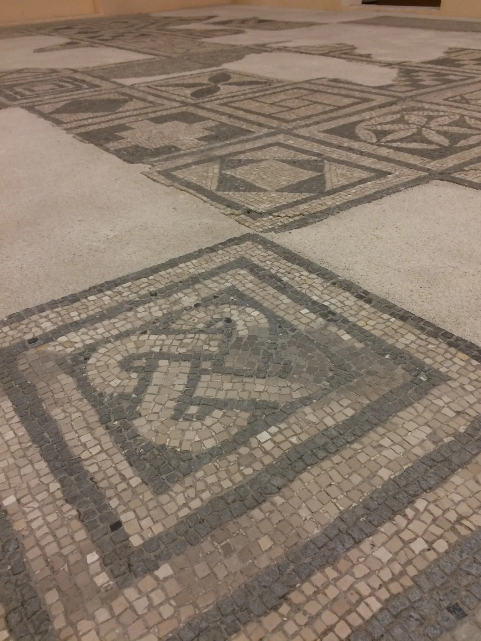 Museo Archeologico Nazionale della Basilicata Dinu Adamesteanu