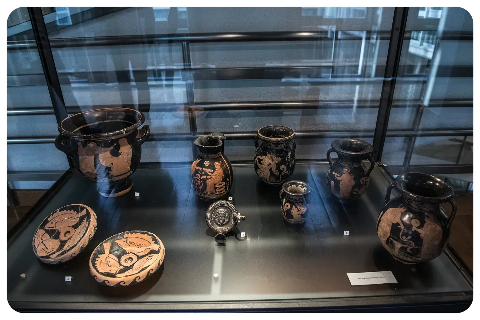 Museo Archeologico Provinciale di Potenza