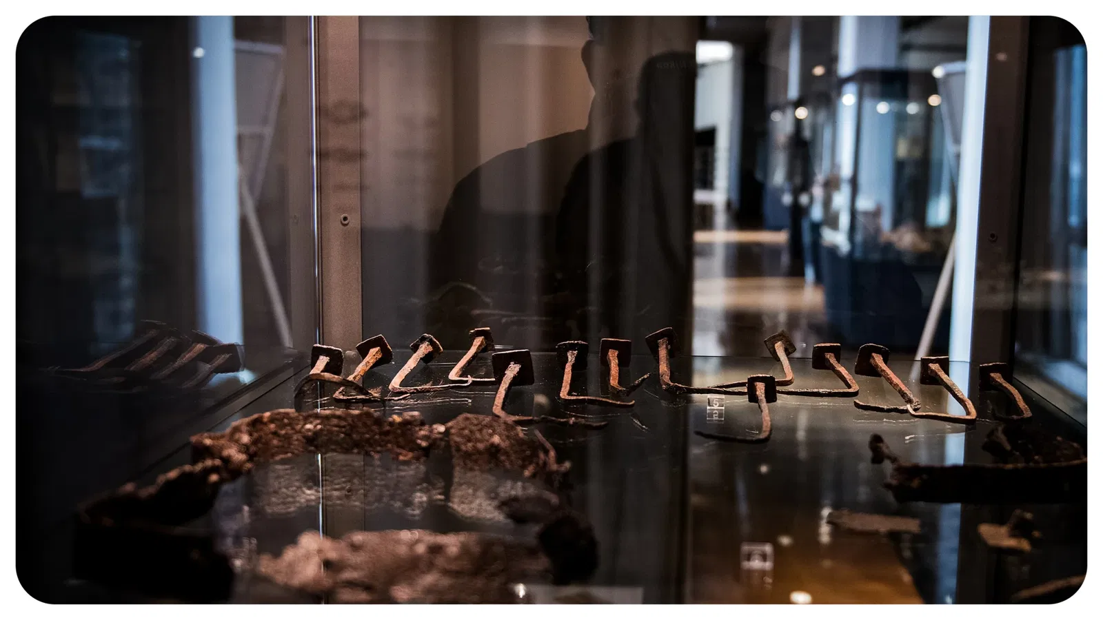 Museo Archeologico Provinciale di Potenza