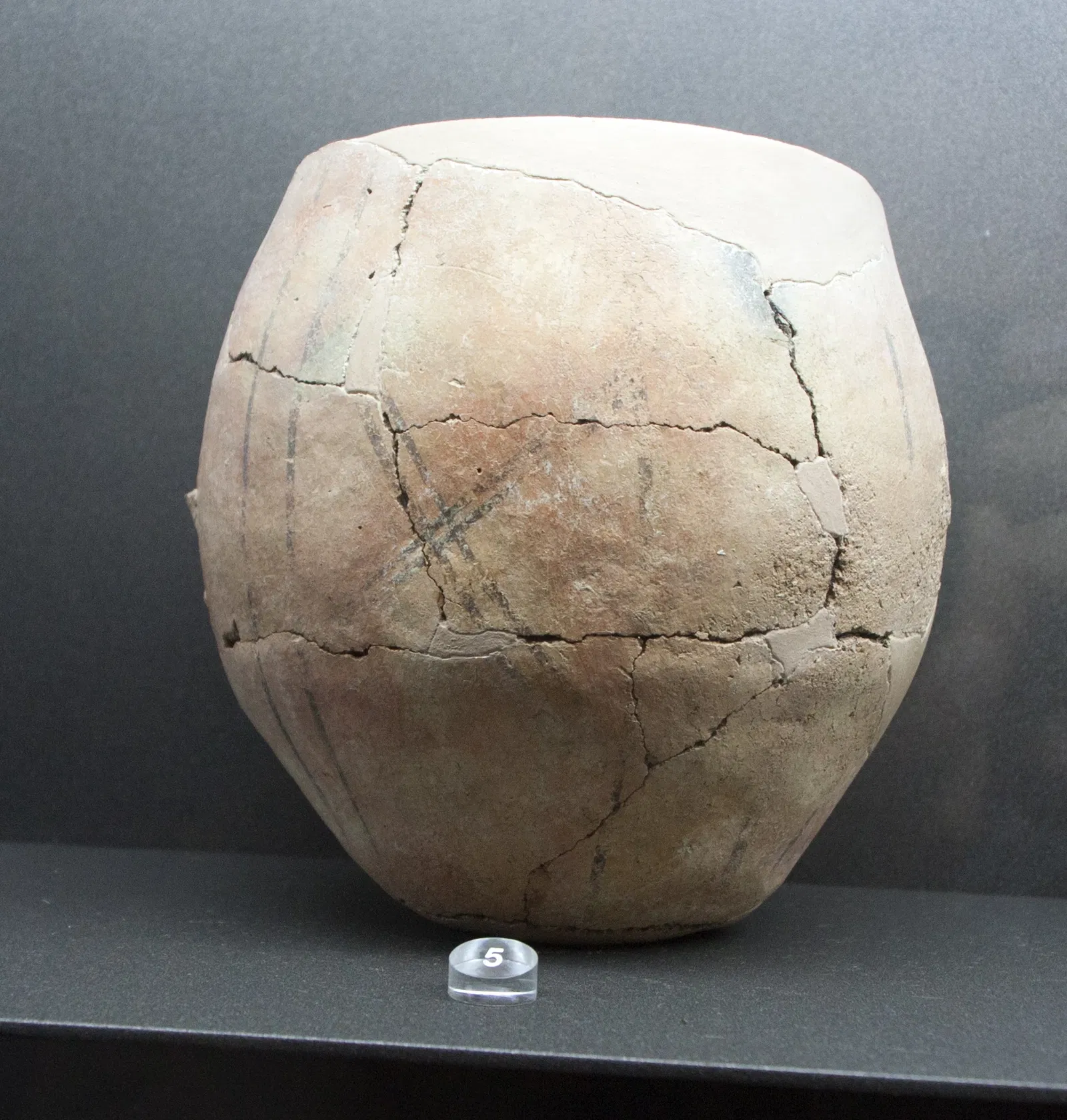 Museo Archeologico Regionale di Gela