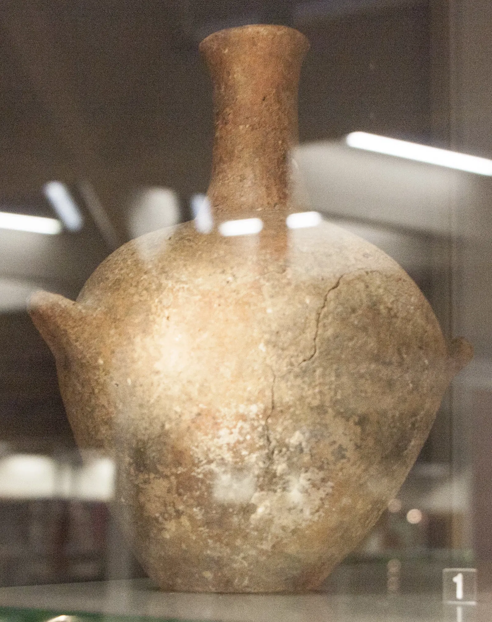 Museo Regionale Interdisciplinare di Caltanissetta