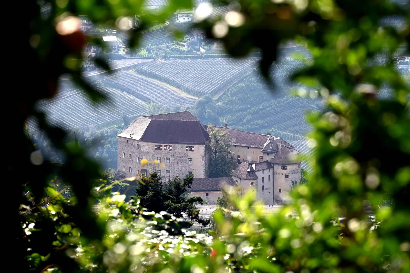 Schloss Schenna - Castello di Scena