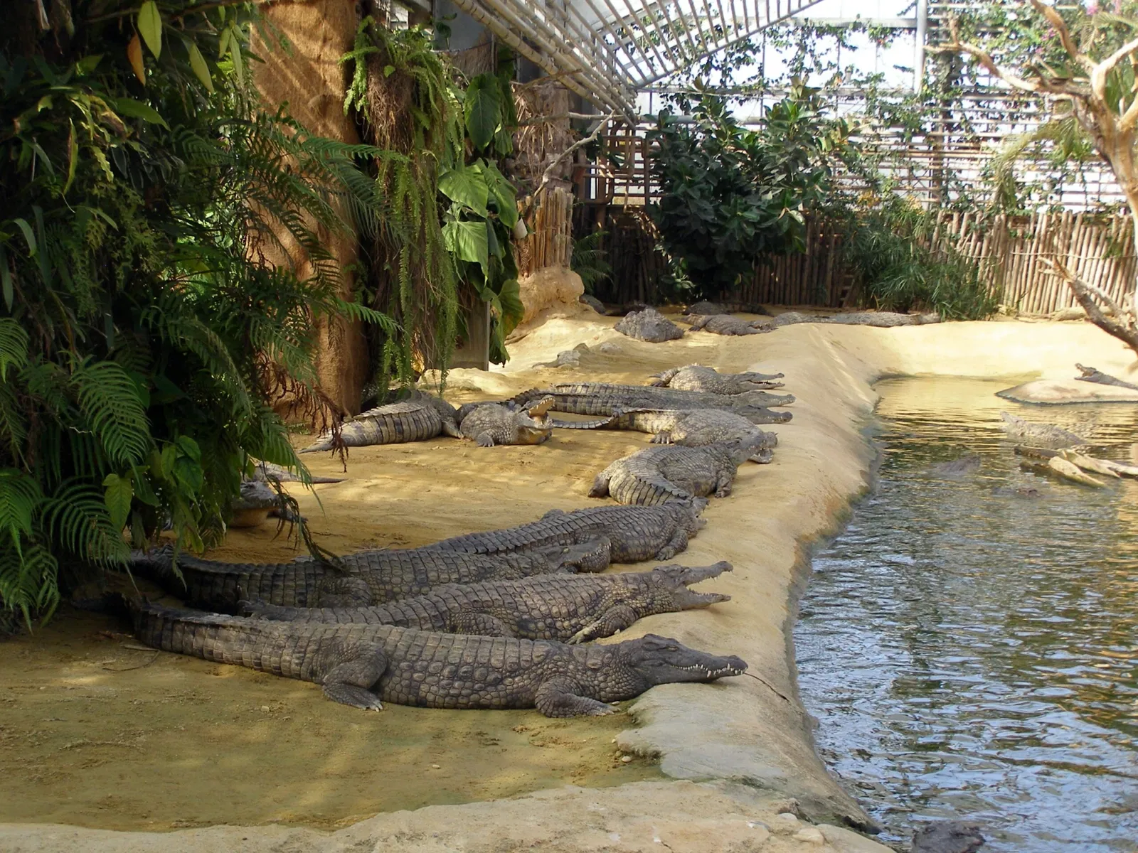 La Ferme aux Crocodiles