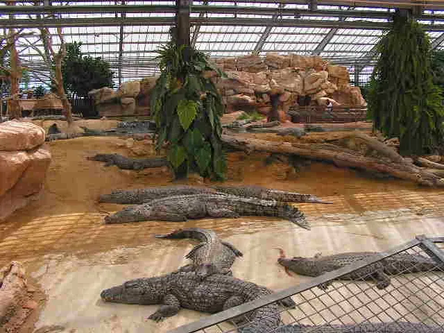 La Ferme aux Crocodiles