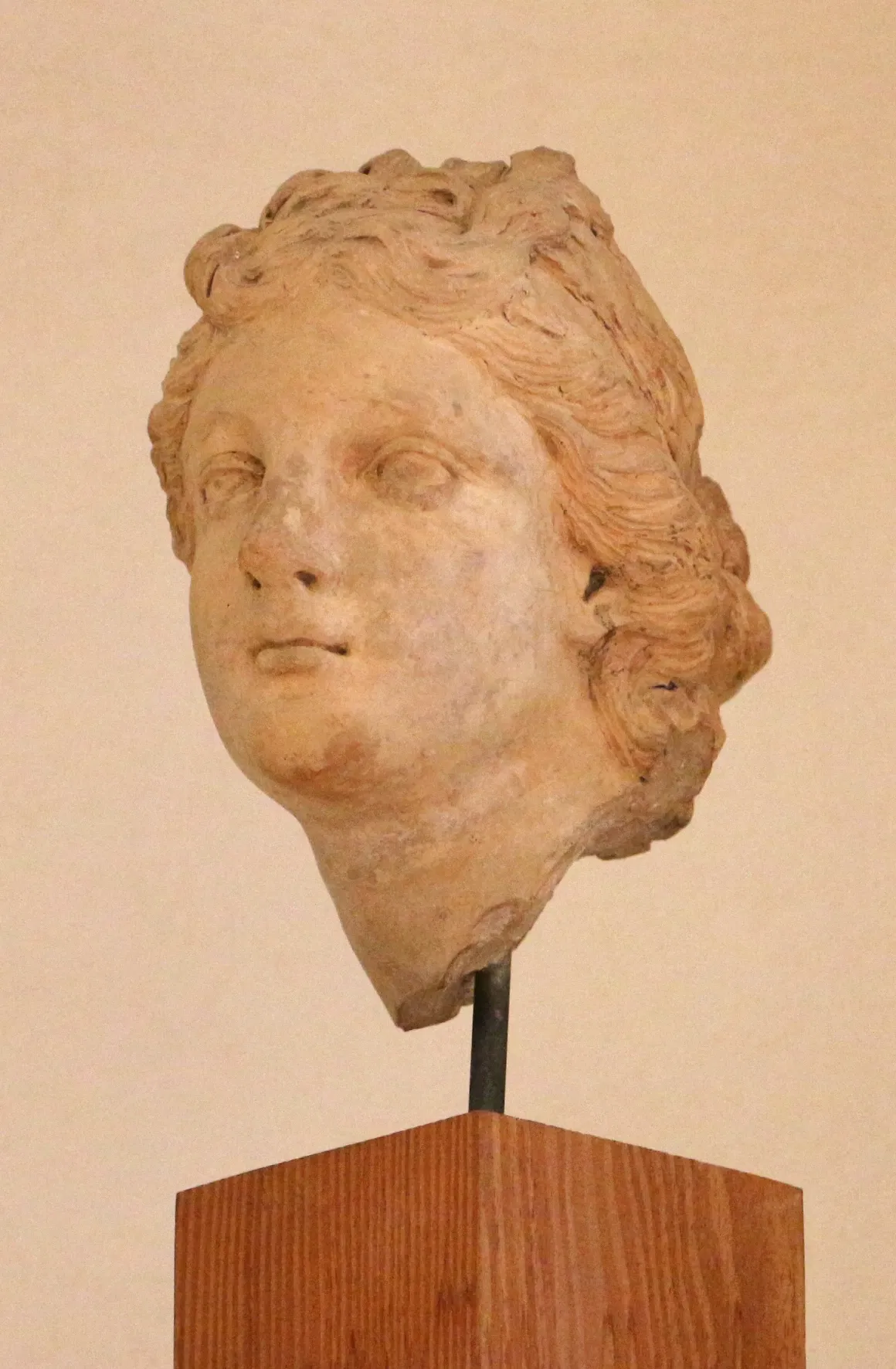 Museo Archeologico e d'Arte della Maremma - Museo d'Arte Sacra della Diocesi di Grosseto