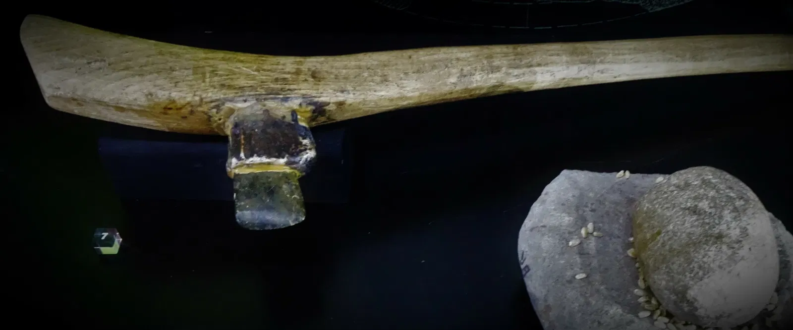 Musée de la Préhistoire du Vercors