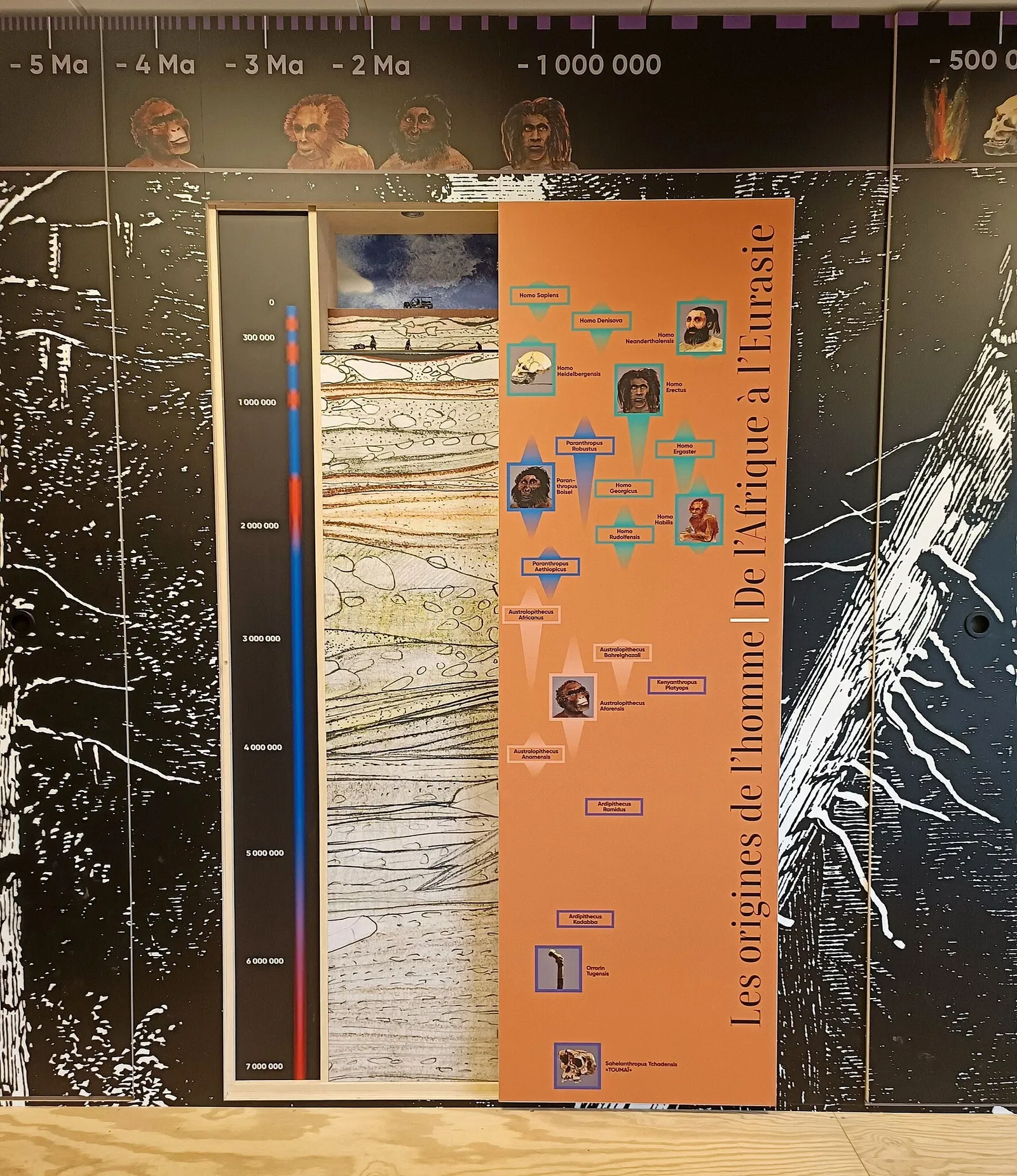 Musée de la Préhistoire du Vercors