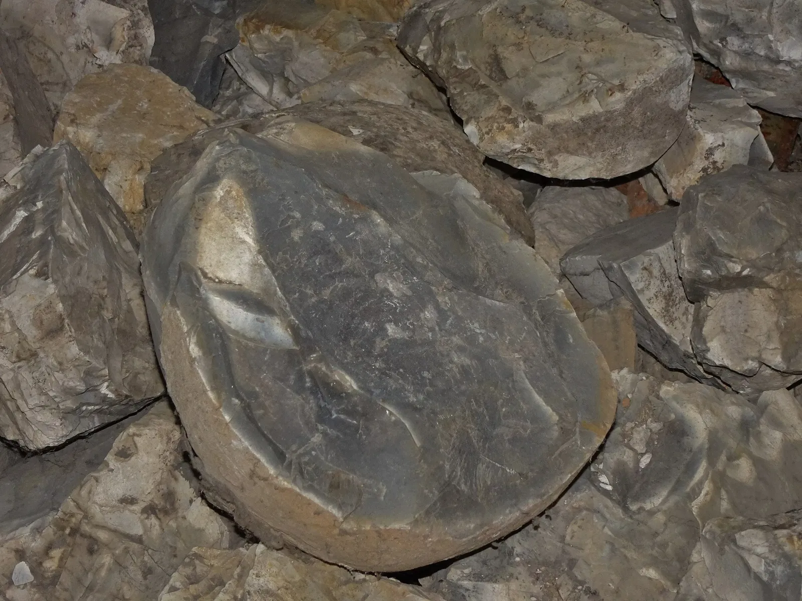 Musée de la Préhistoire du Vercors