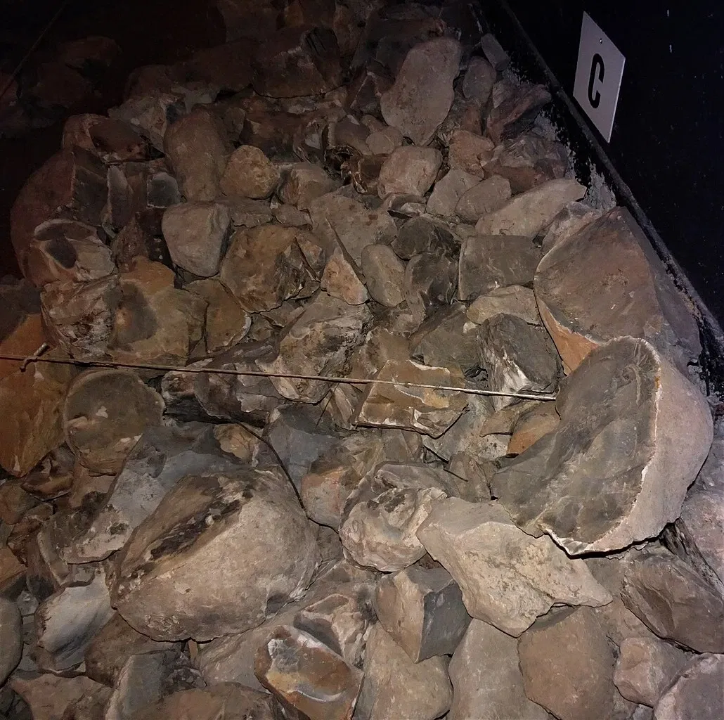 Musée de la Préhistoire du Vercors