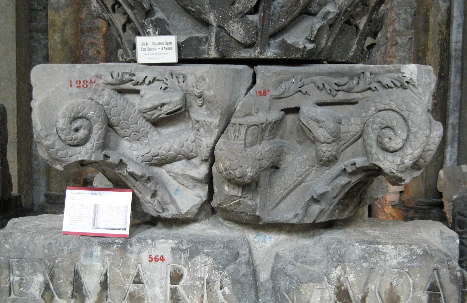 Musée Archéologique Saint-Pierre de Vienne