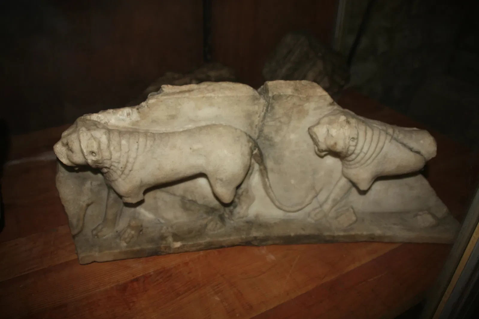 Musée Archéologique Saint-Pierre de Vienne