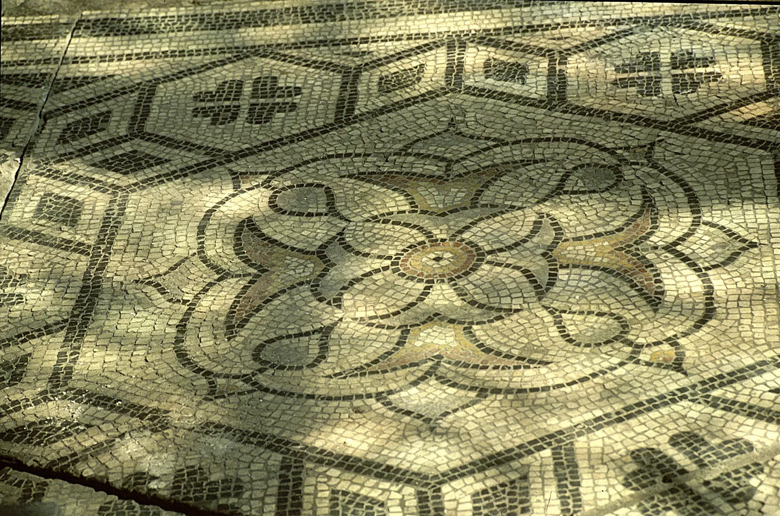 Musée Archéologique Saint-Pierre de Vienne