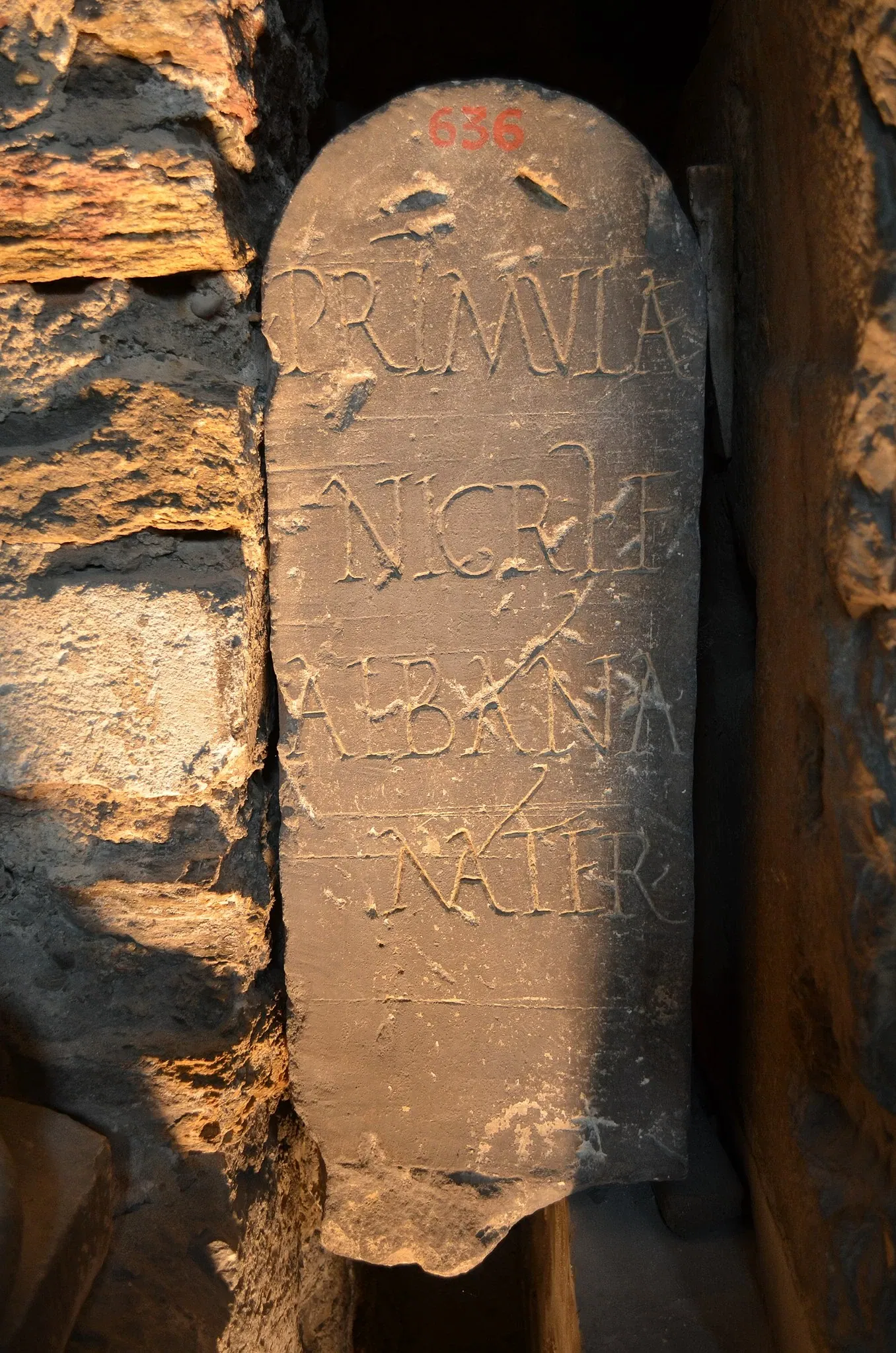 Musée Archéologique Saint-Pierre de Vienne