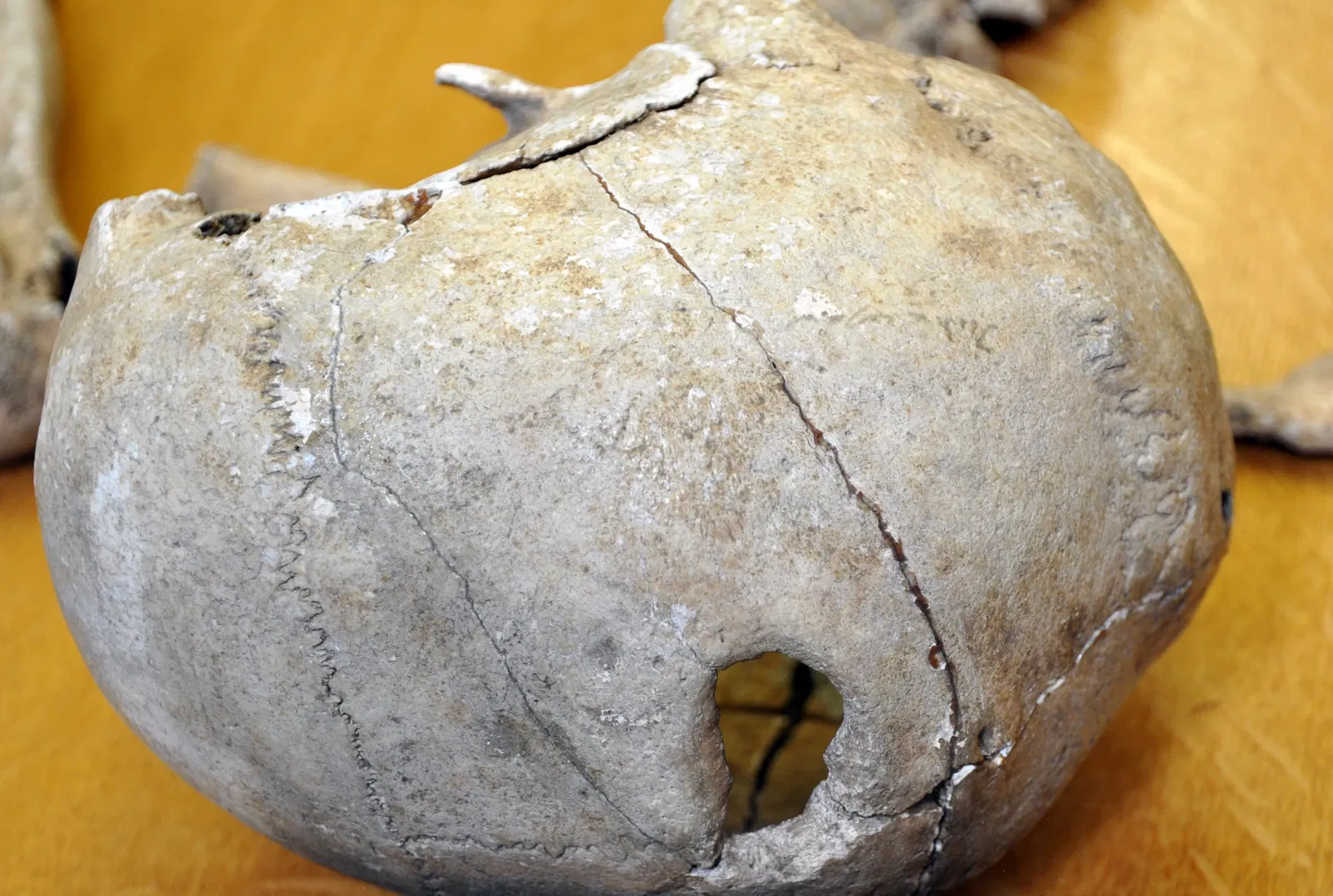 Musée des beaux-arts et d'archéologie