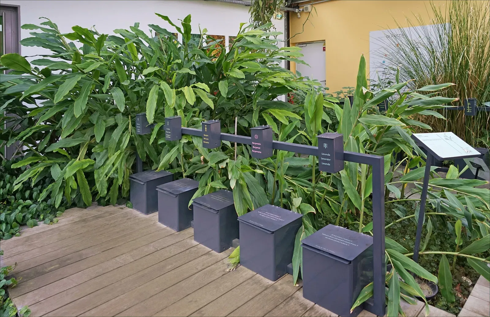 Musée International de la Parfumerie